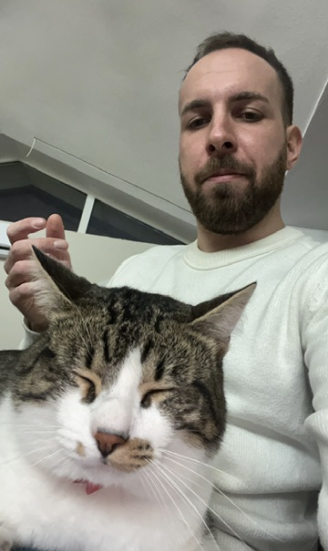 image-6