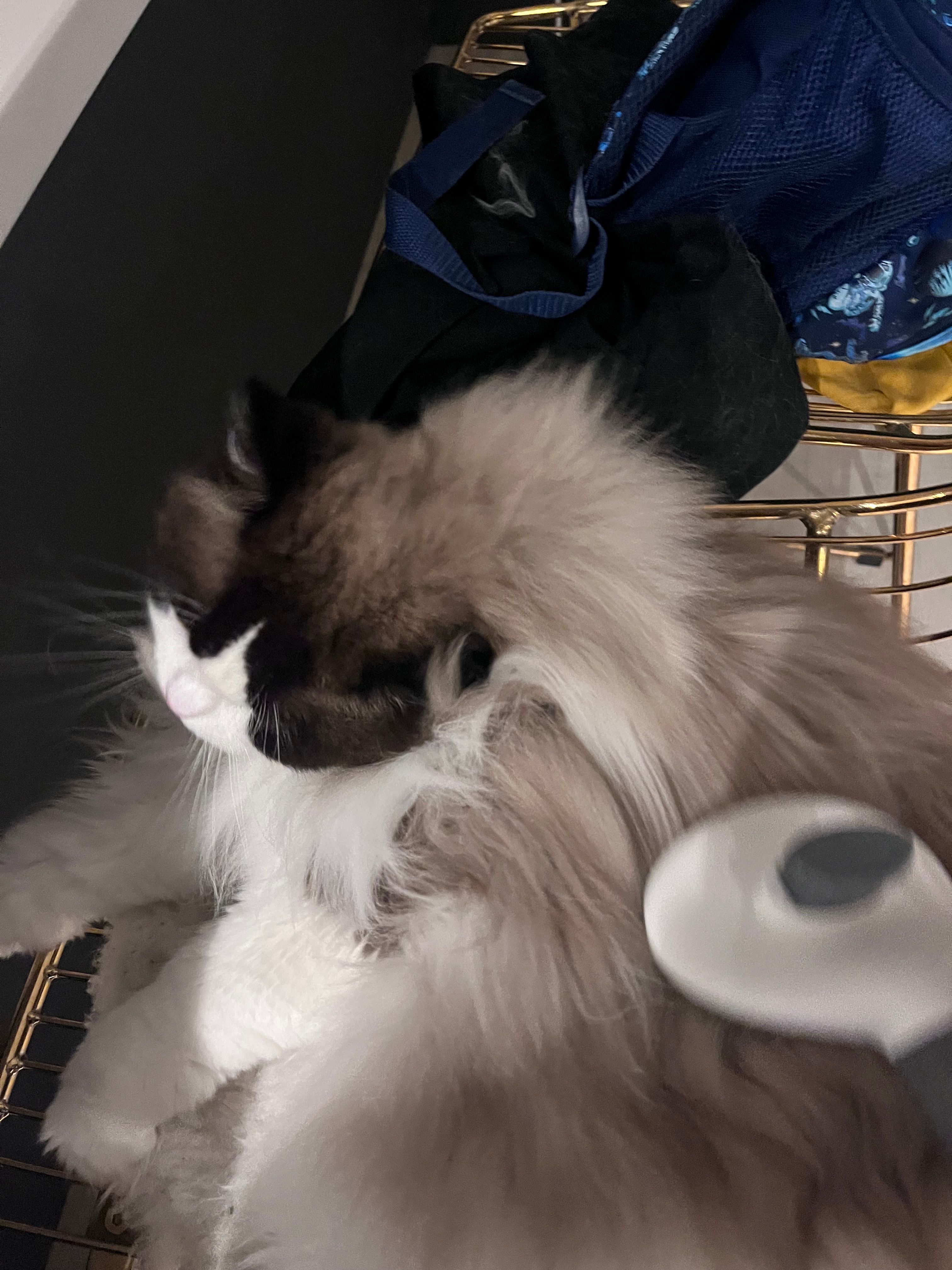 image-12