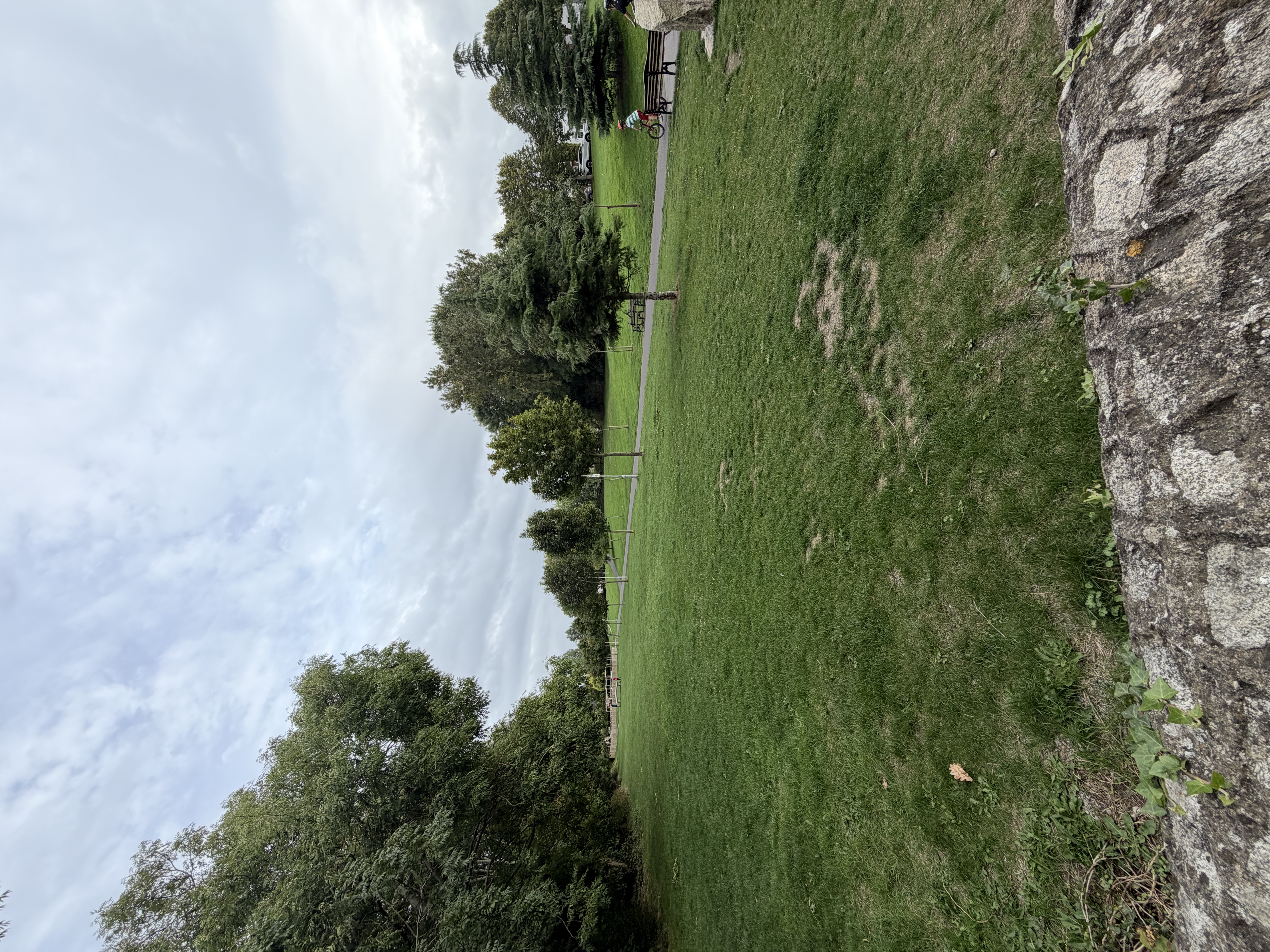 image-16