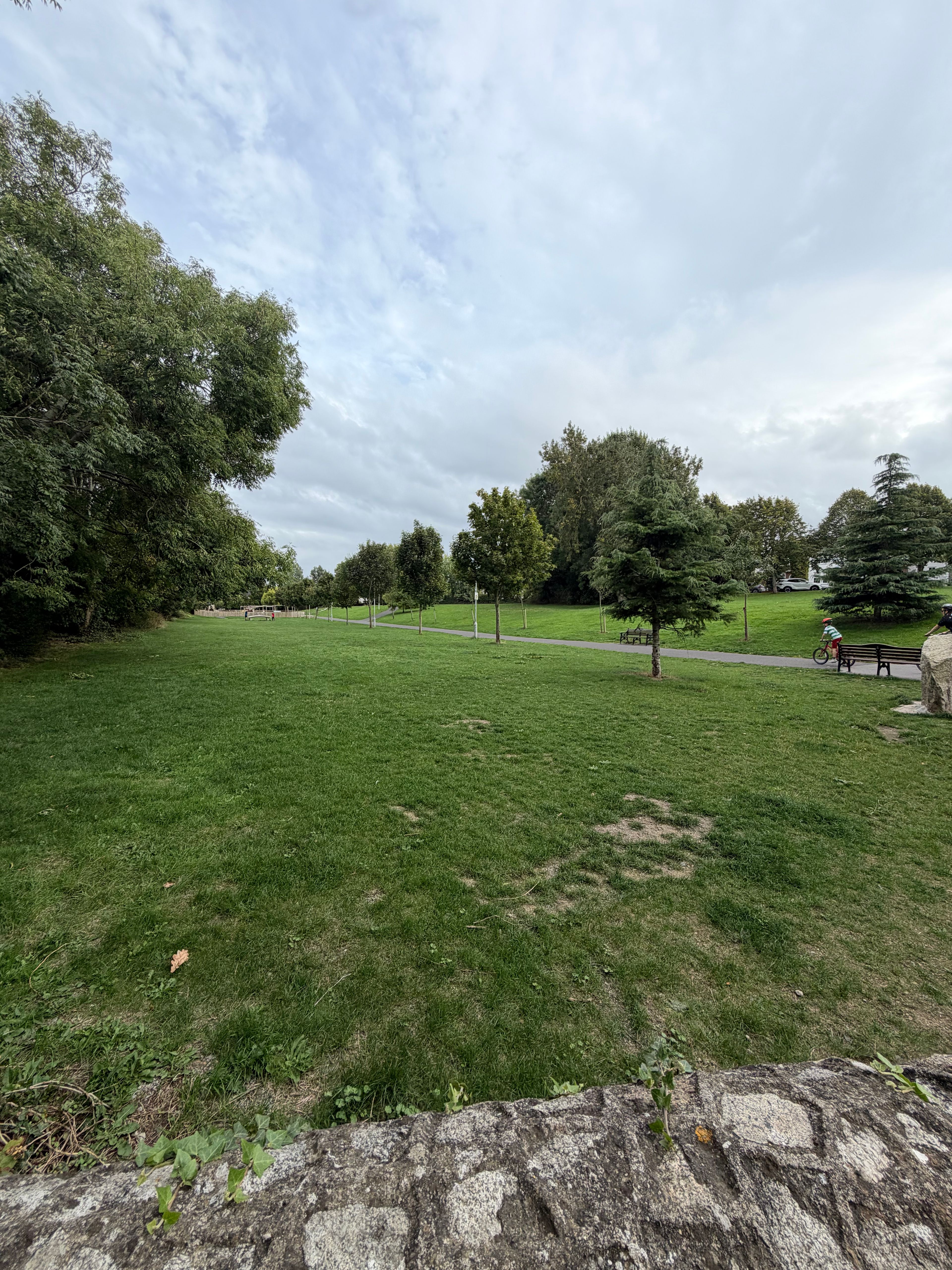 image-16