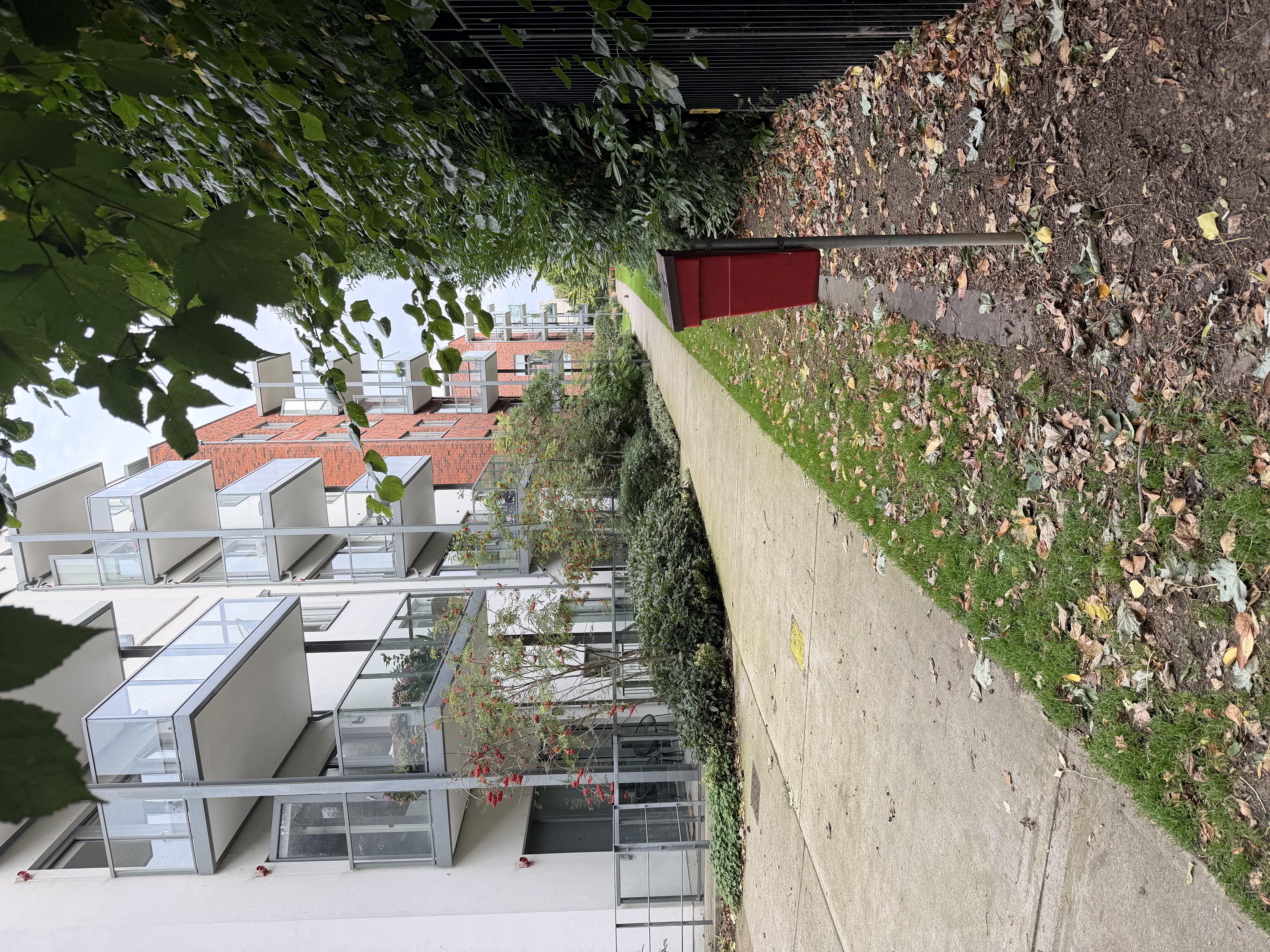 image-18