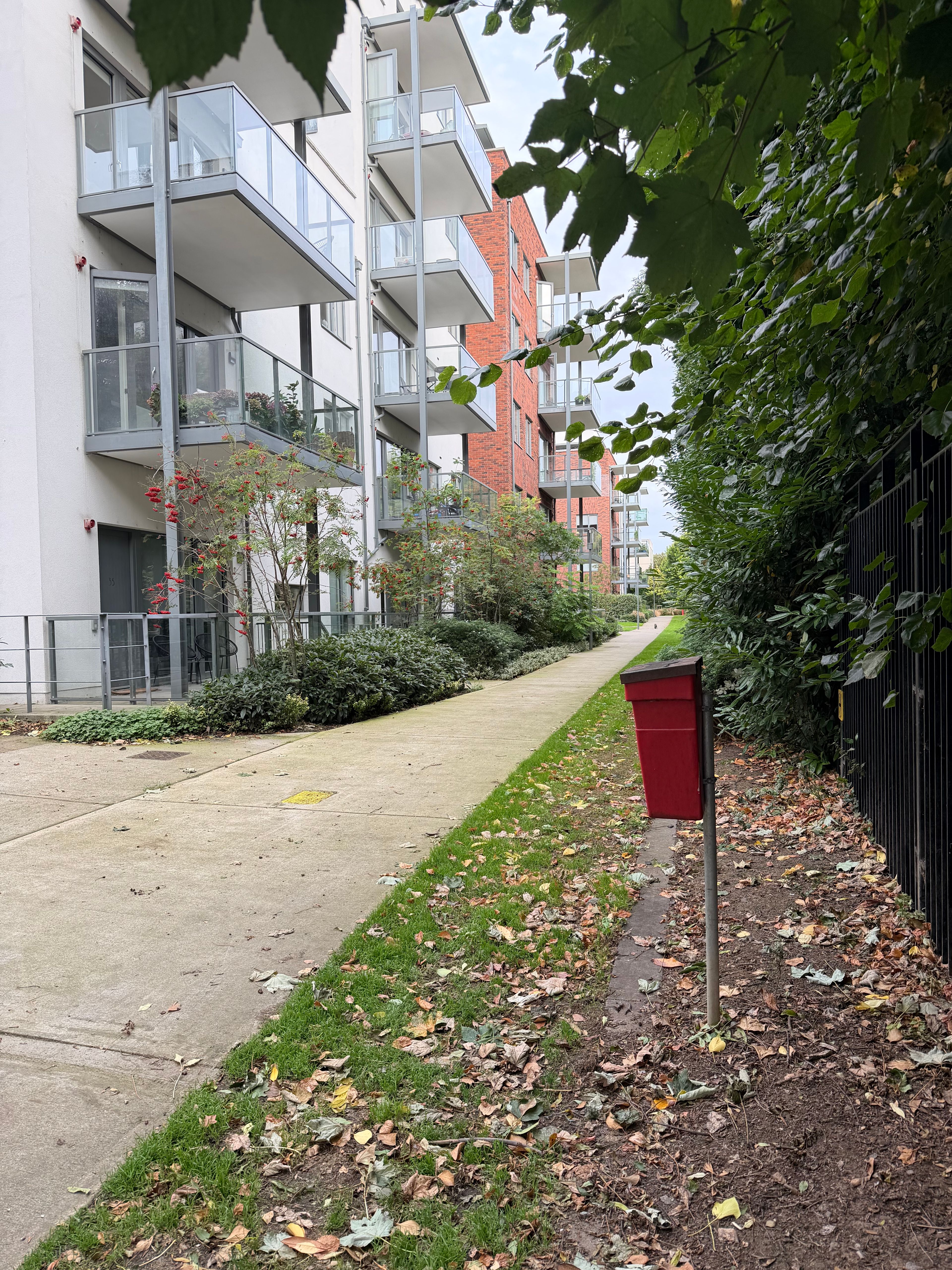 image-18