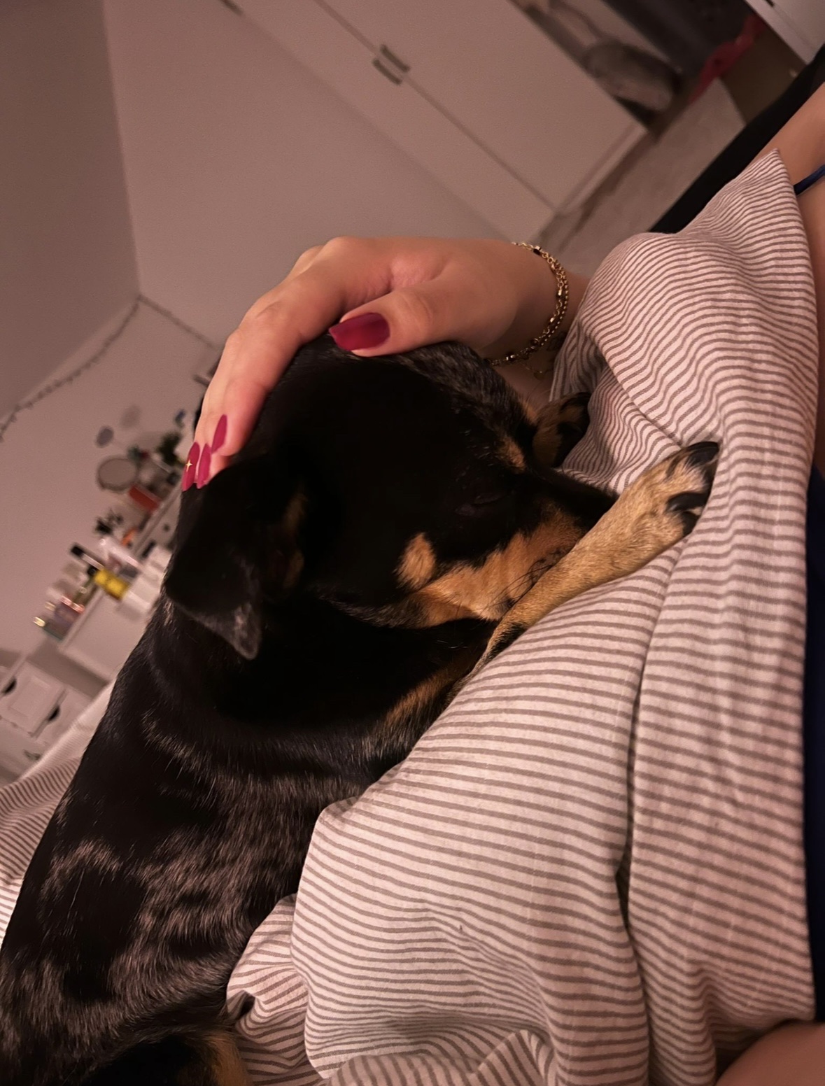 image-7