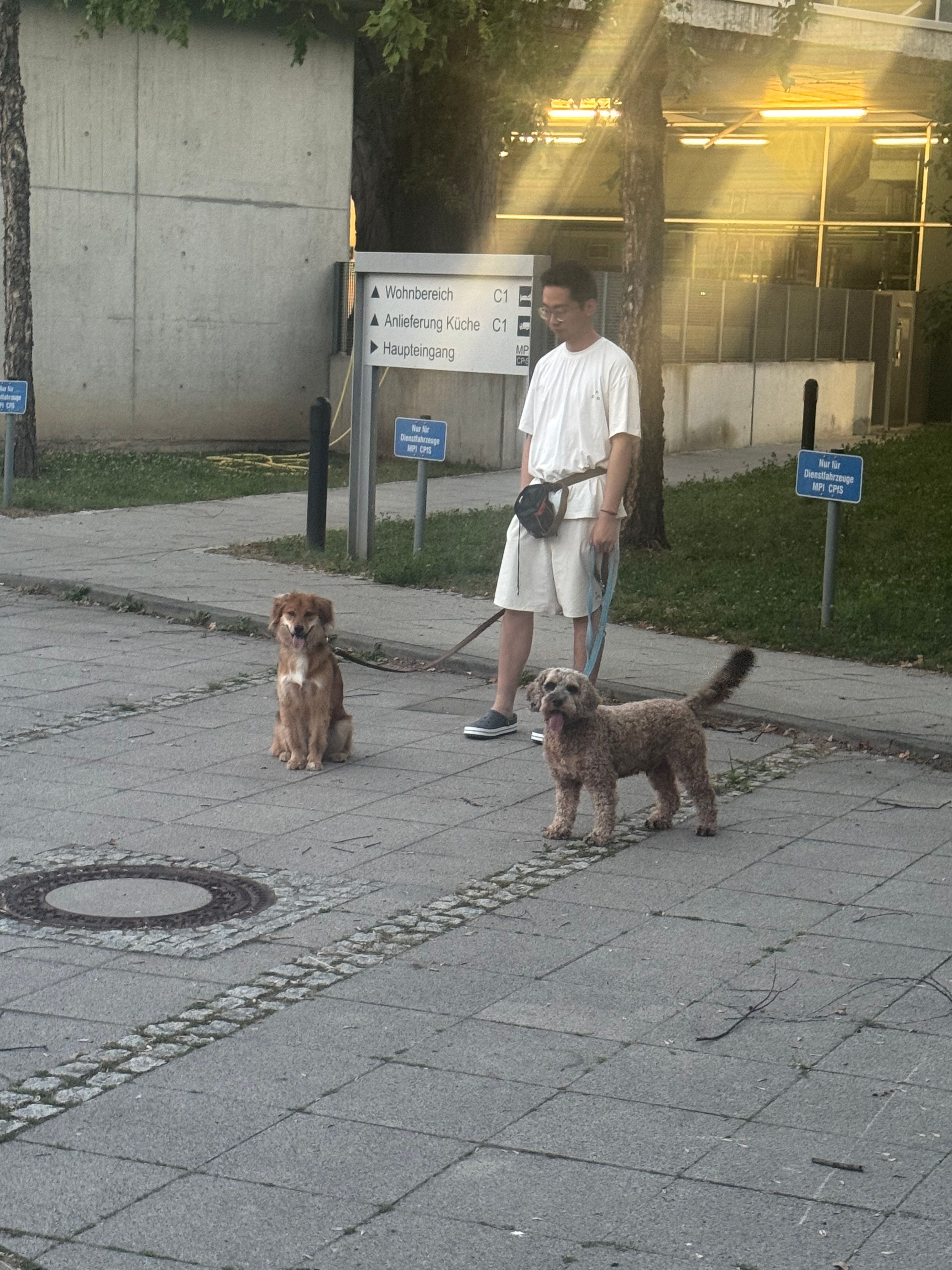 image-61