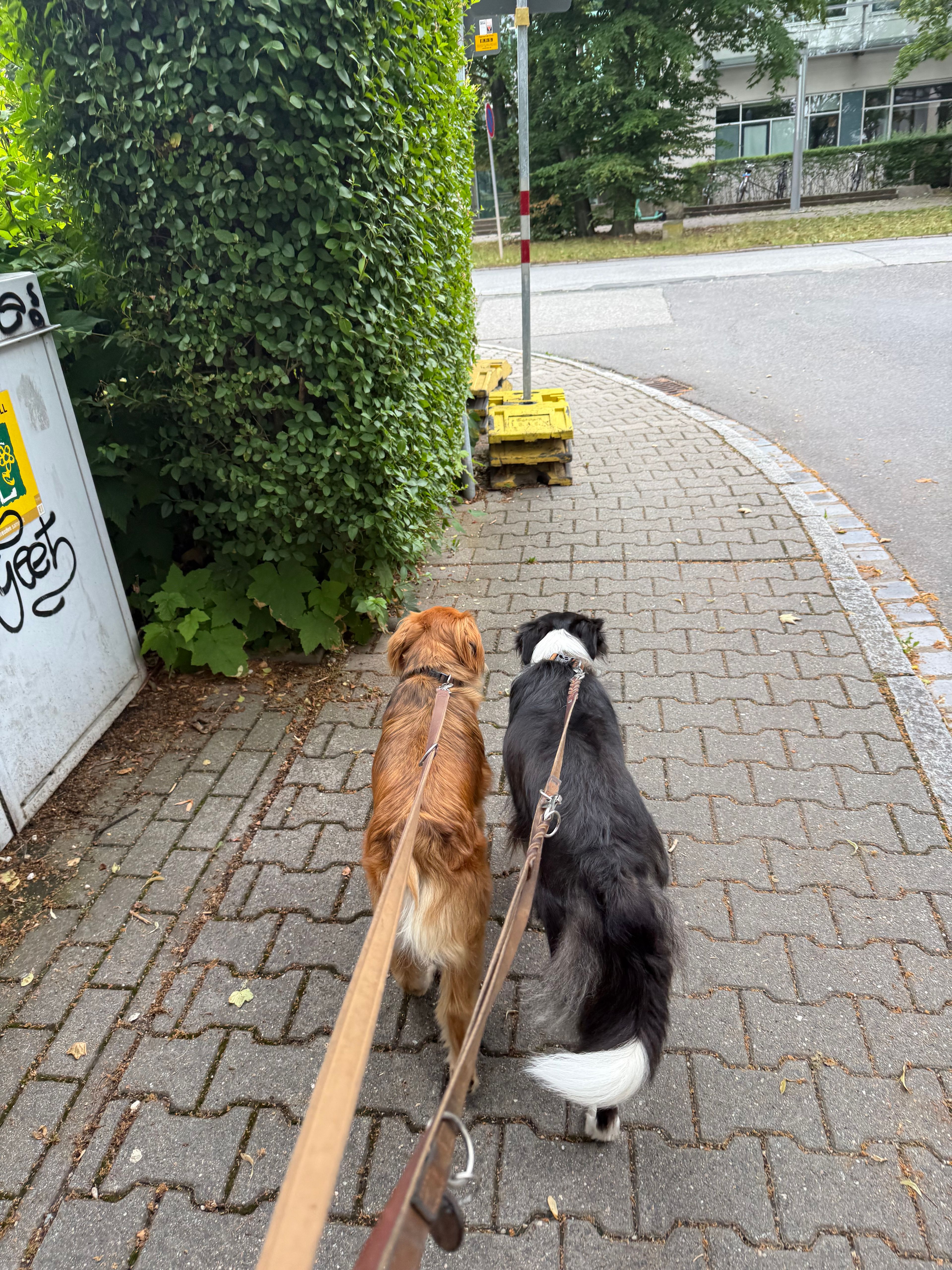image-54