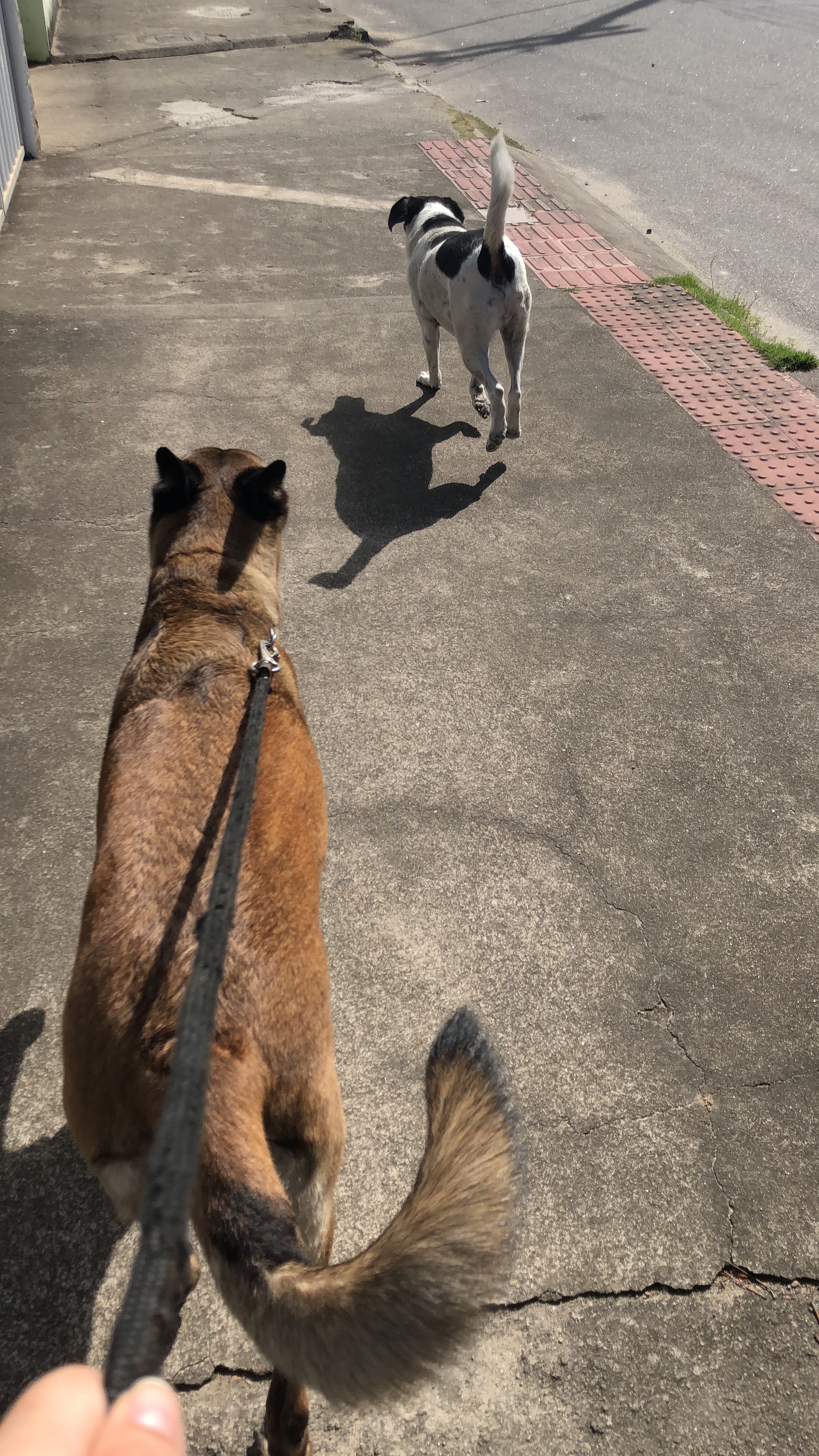 image-7