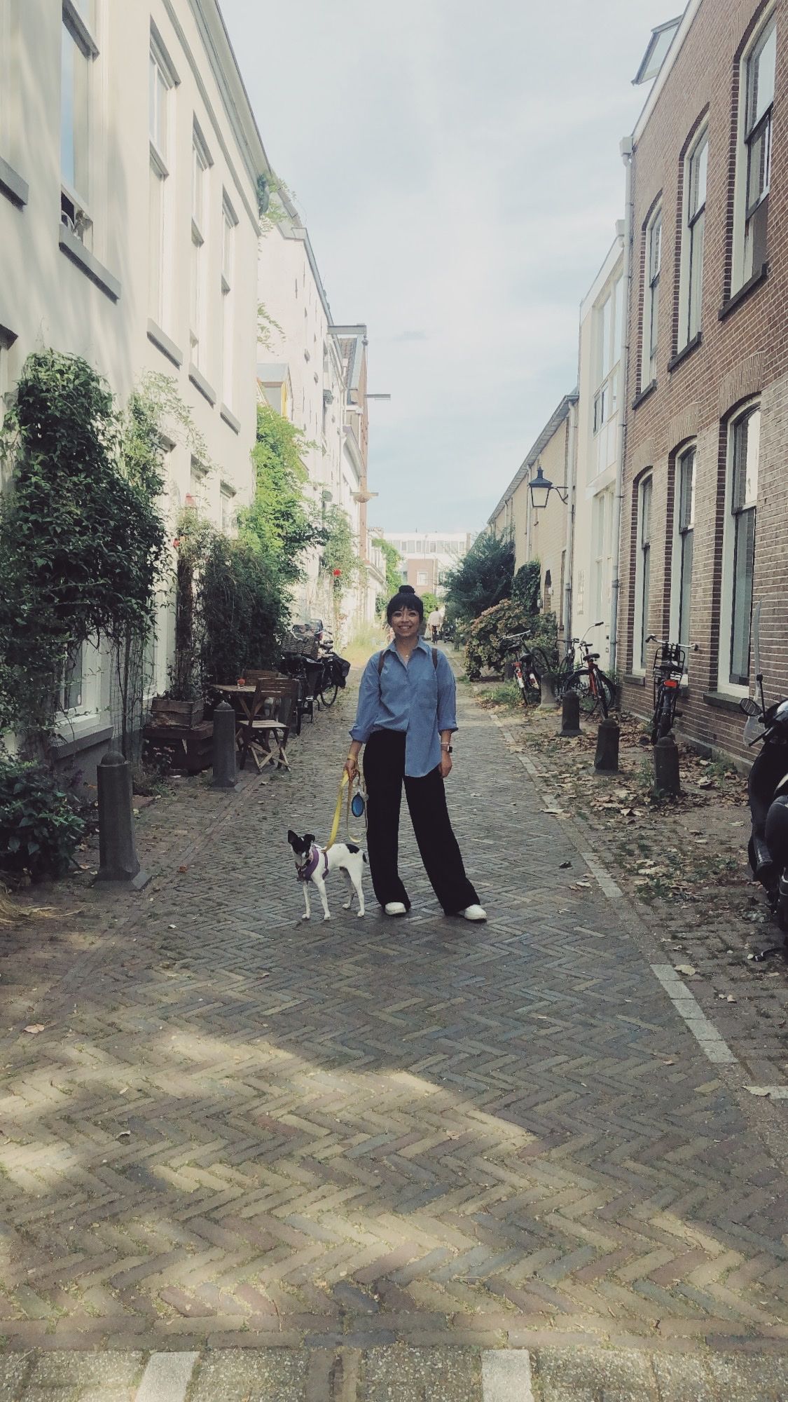 image-10