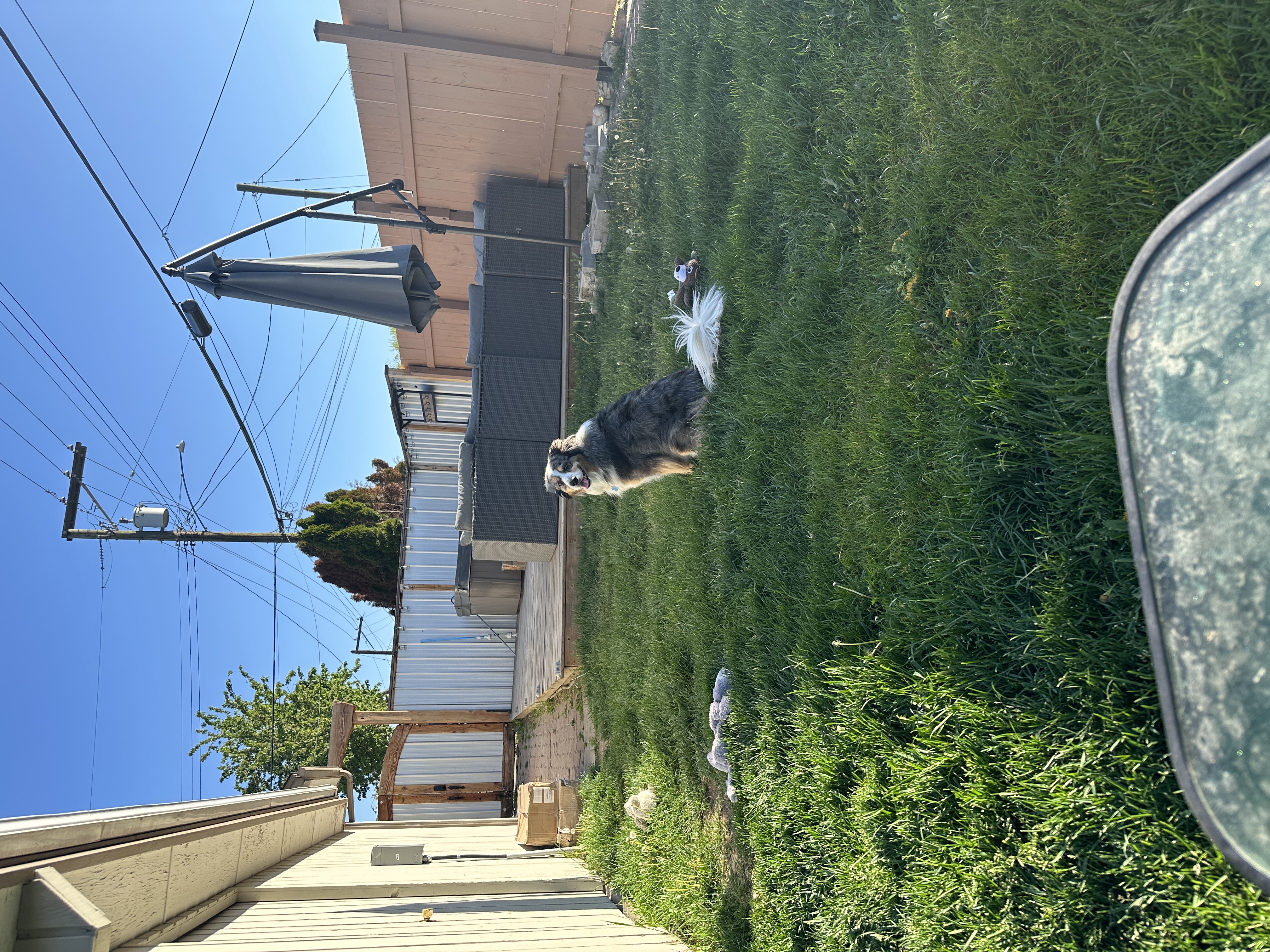 image-9