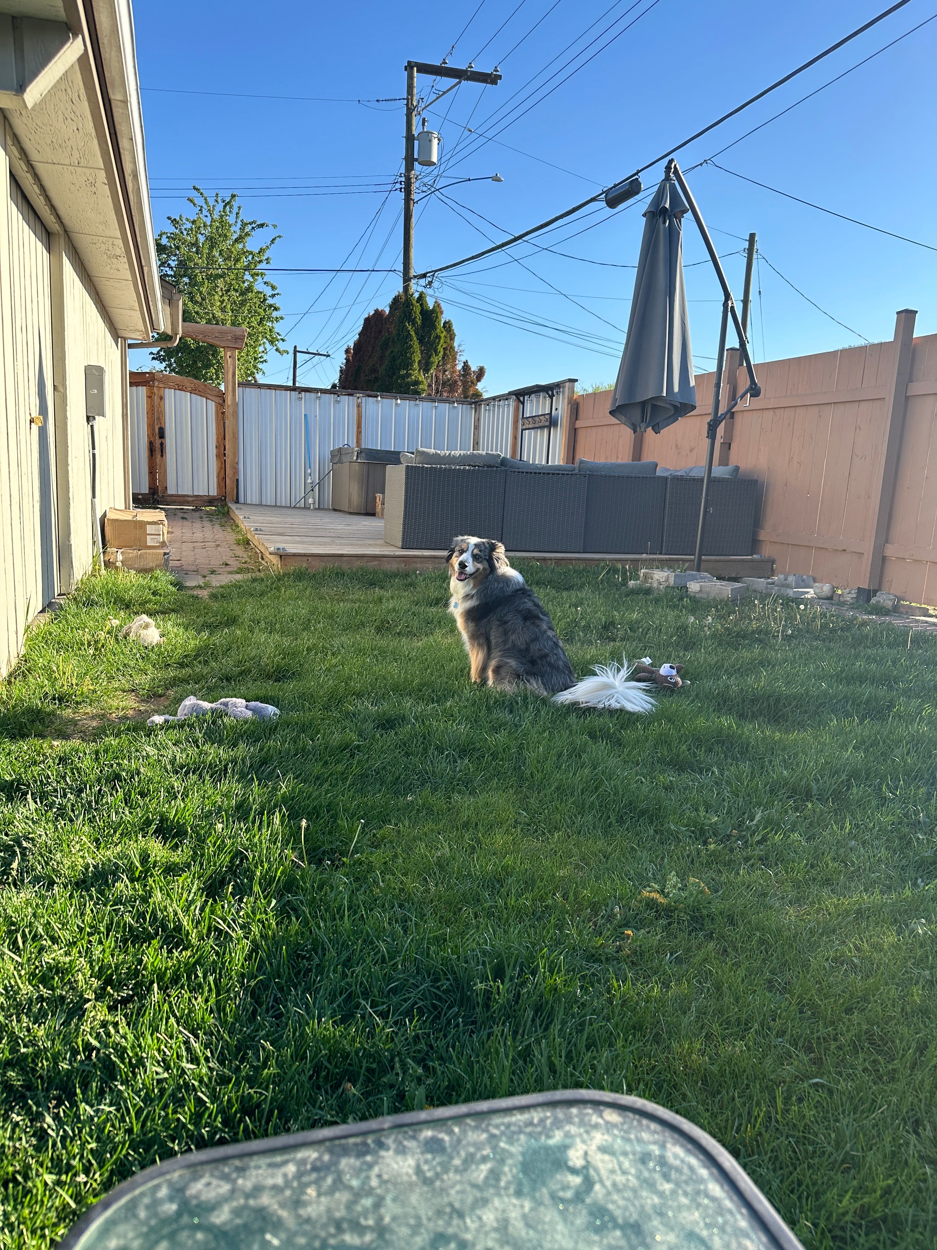 image-9
