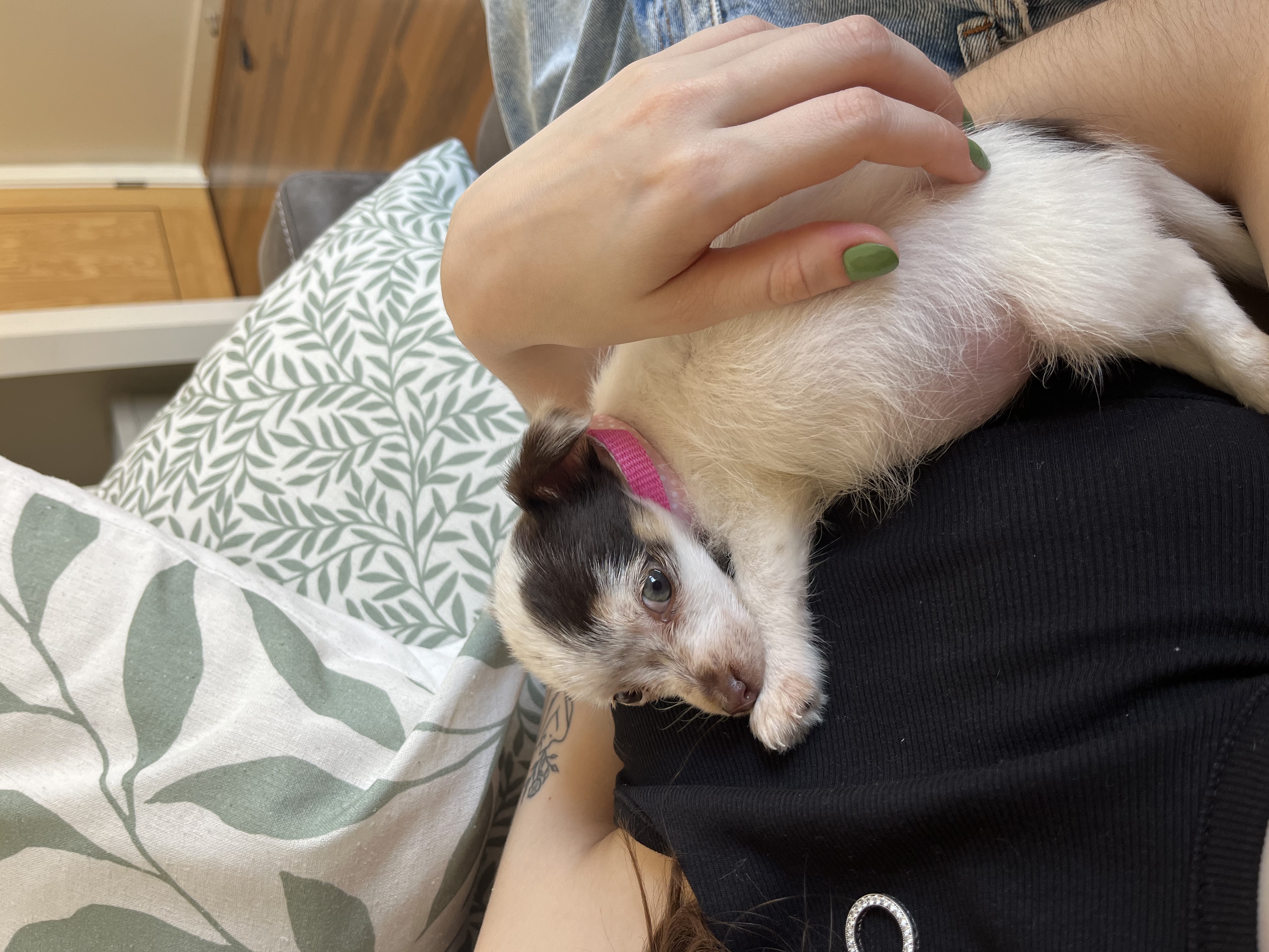 image-6