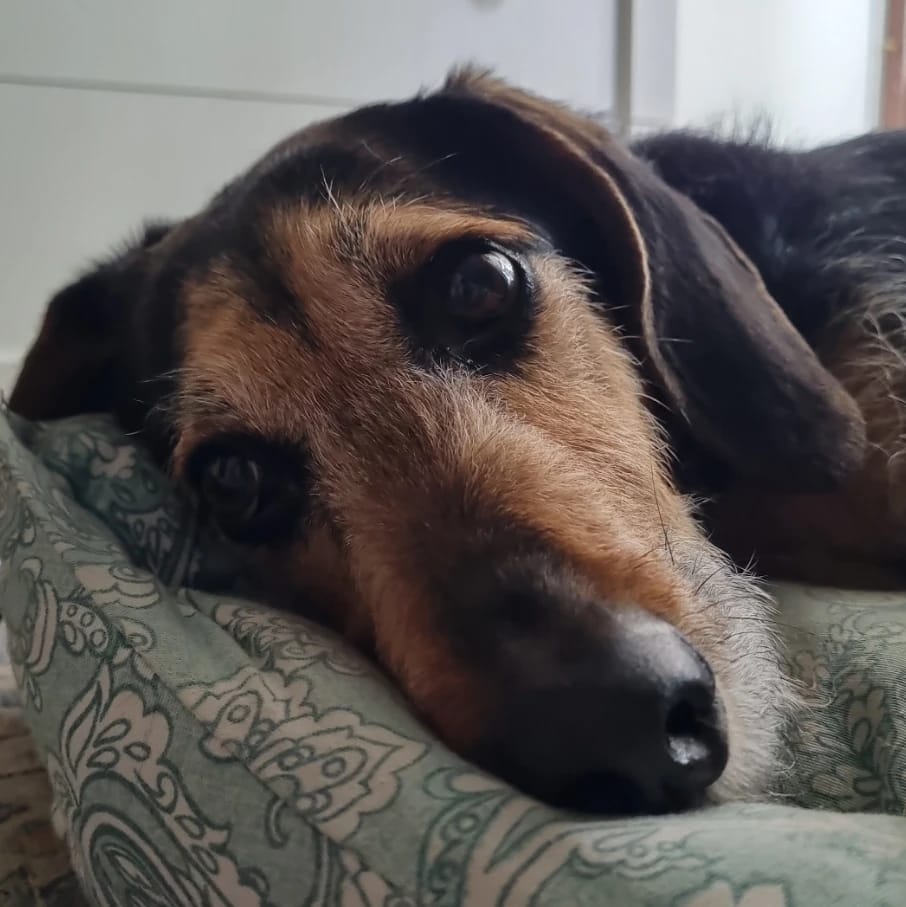Oscar