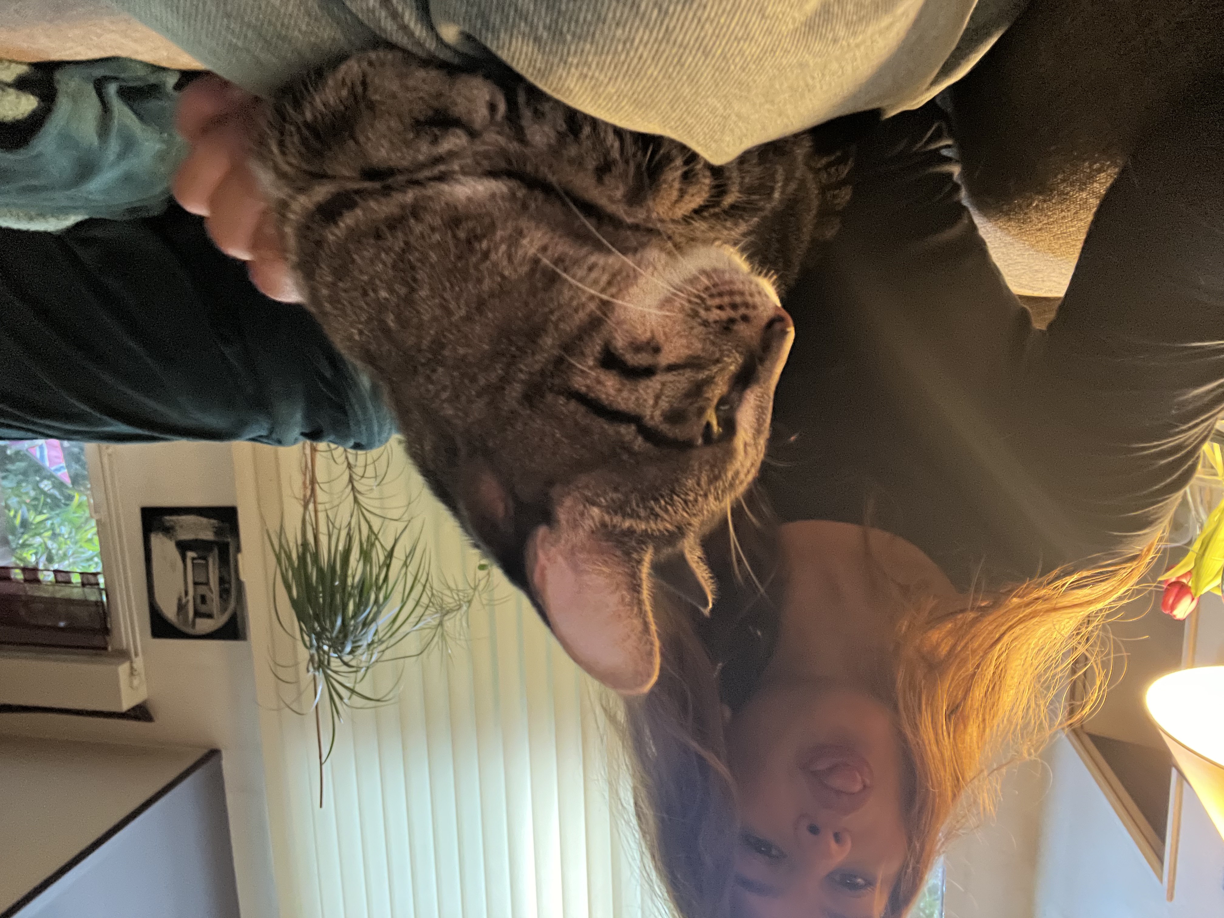 image-7