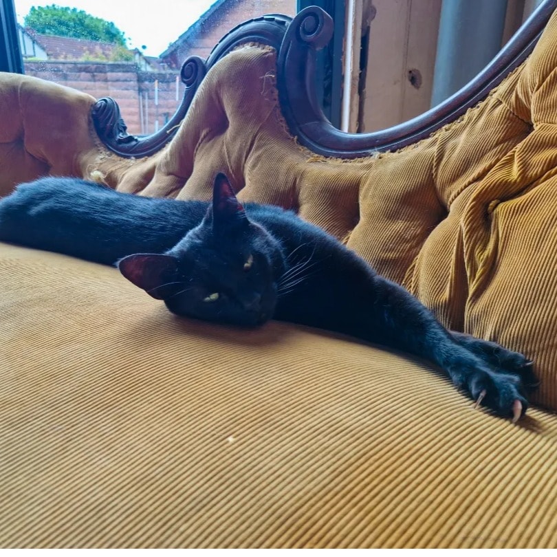 Salem