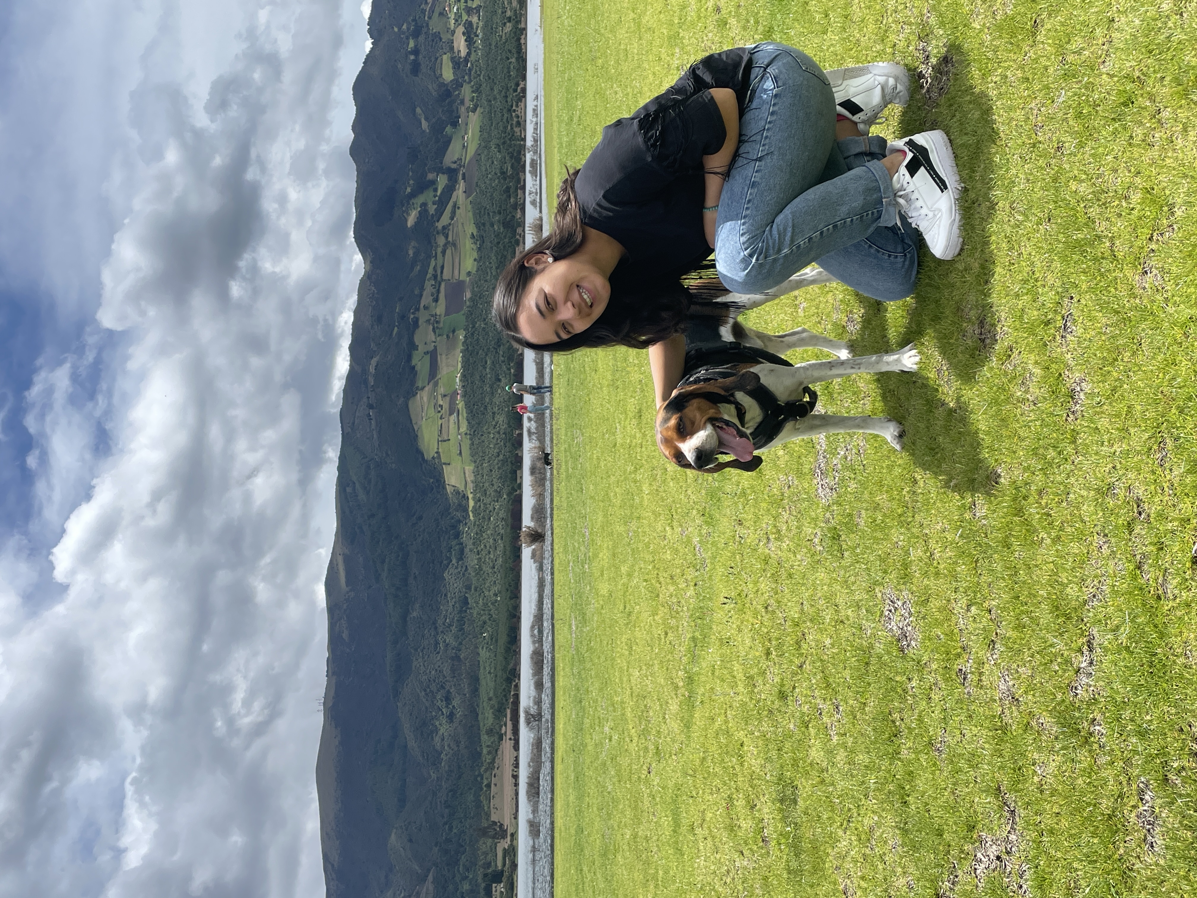 image-5
