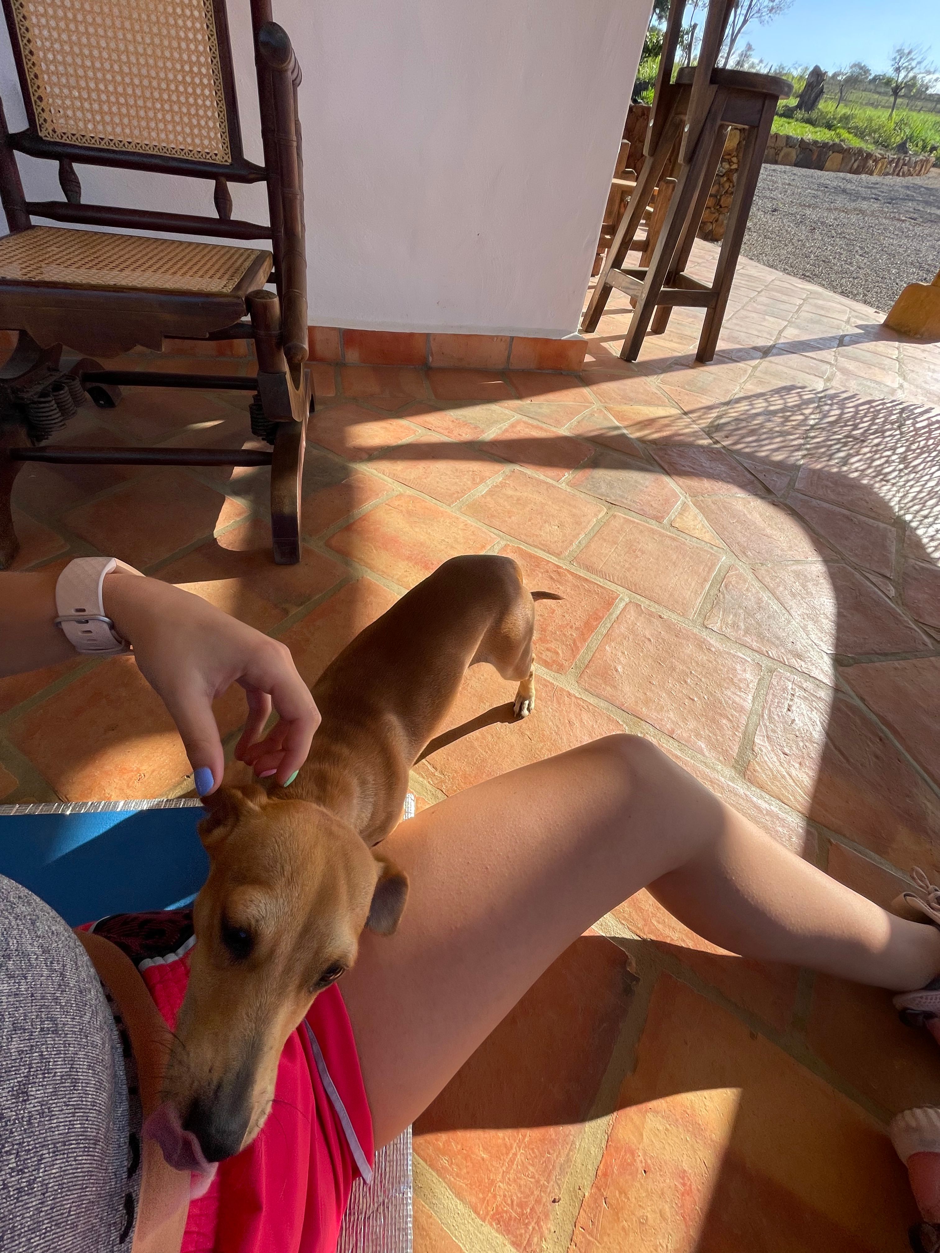 image-7