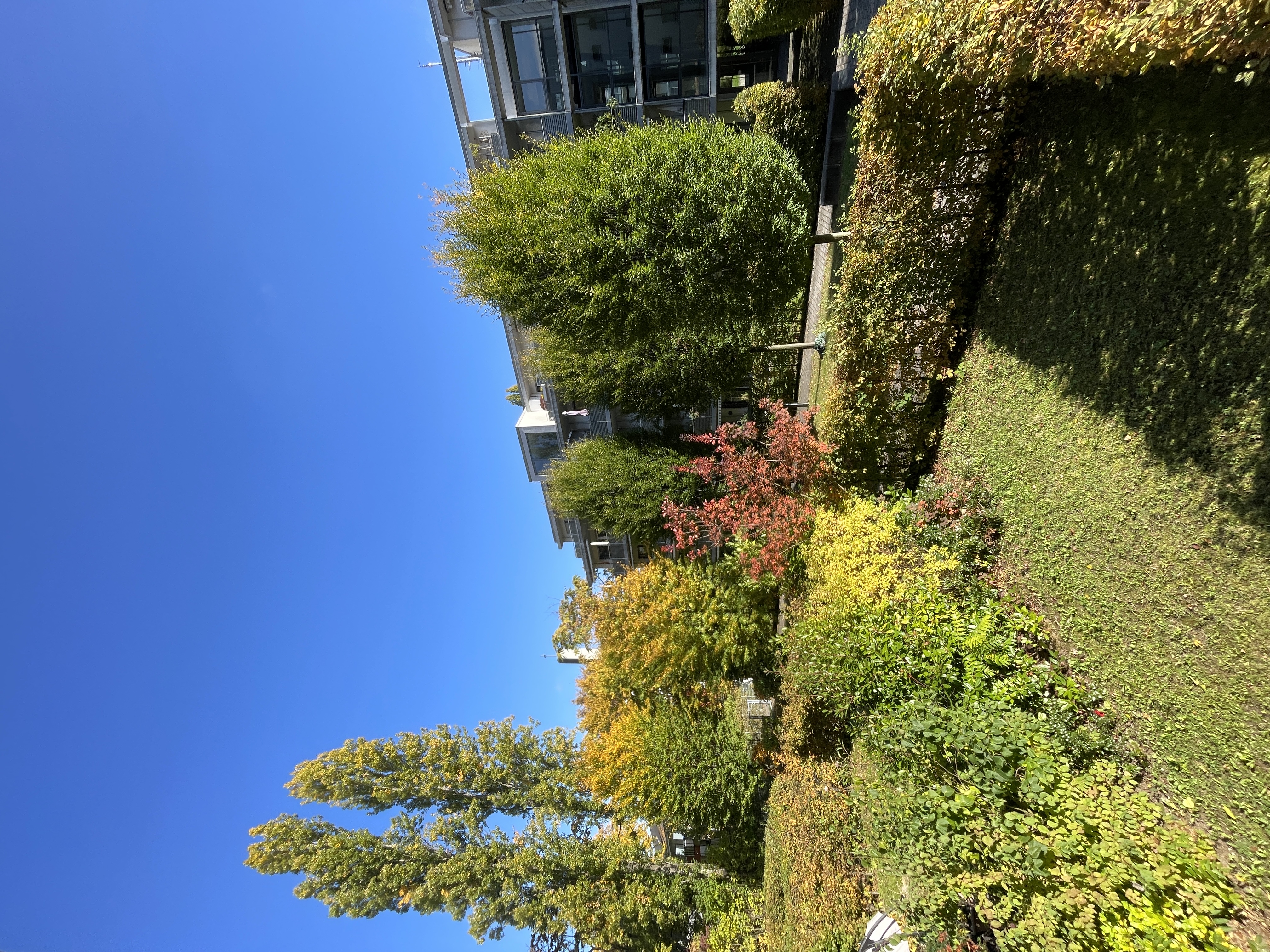 image-14