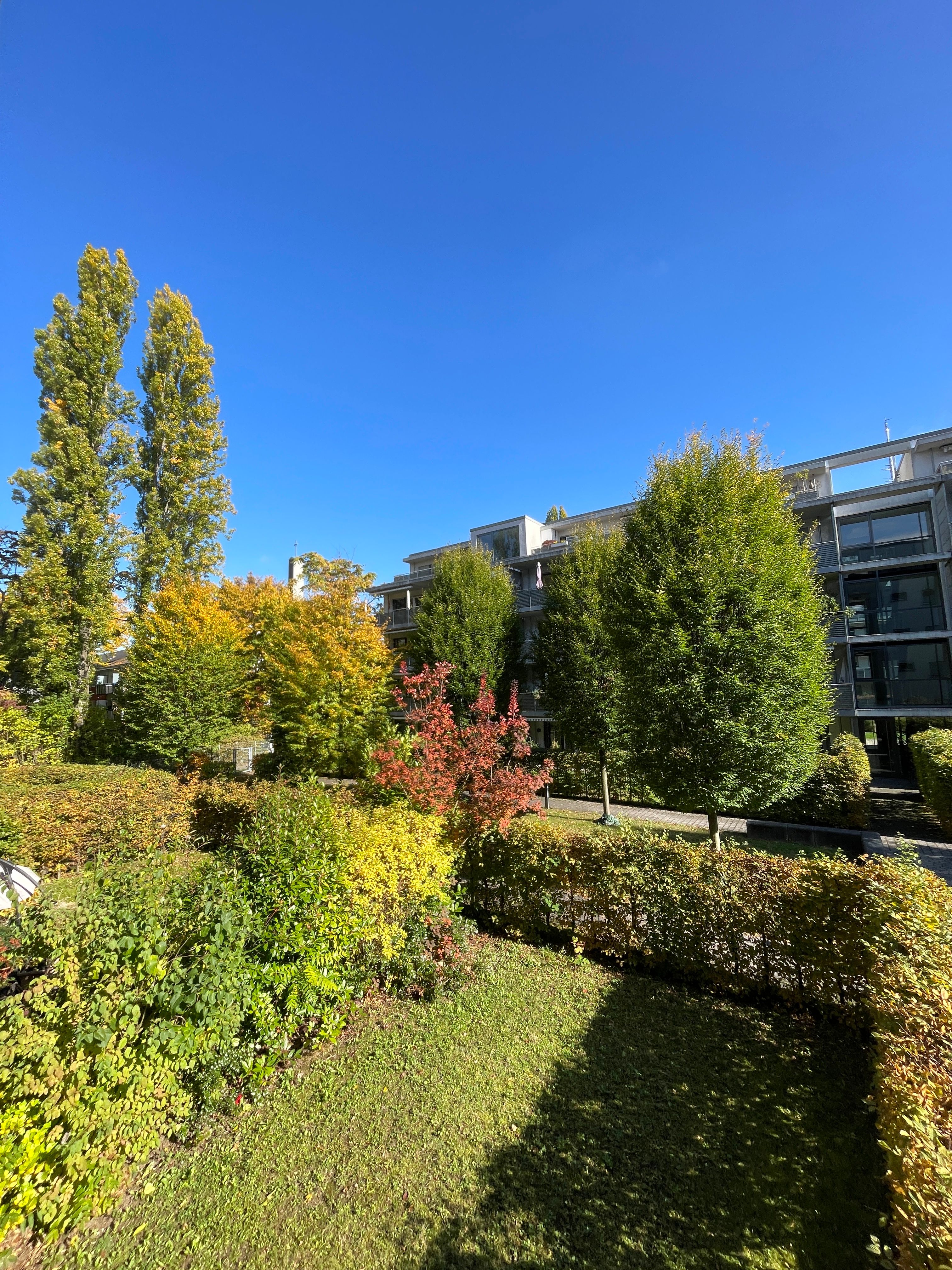 image-14