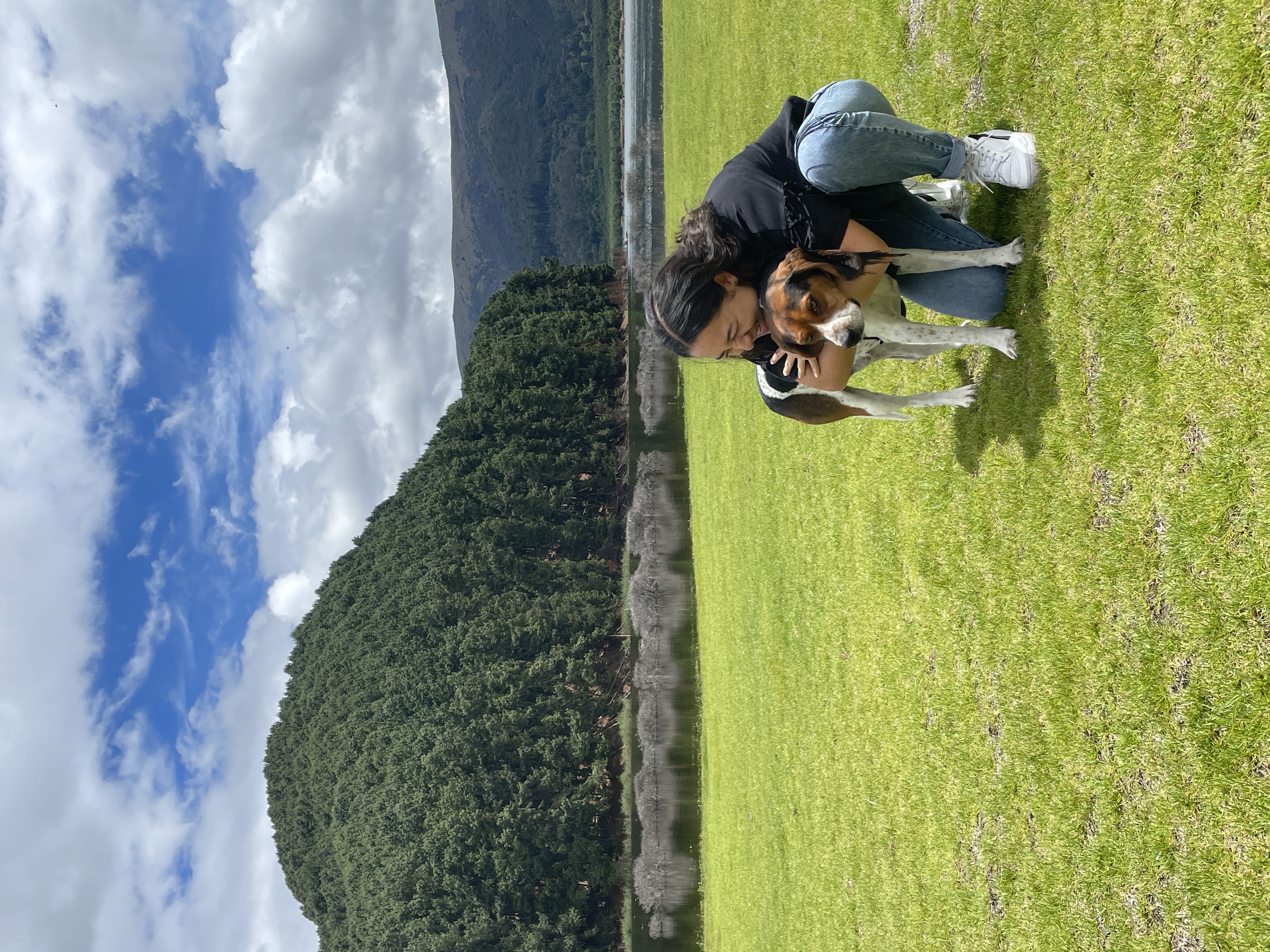 image-0