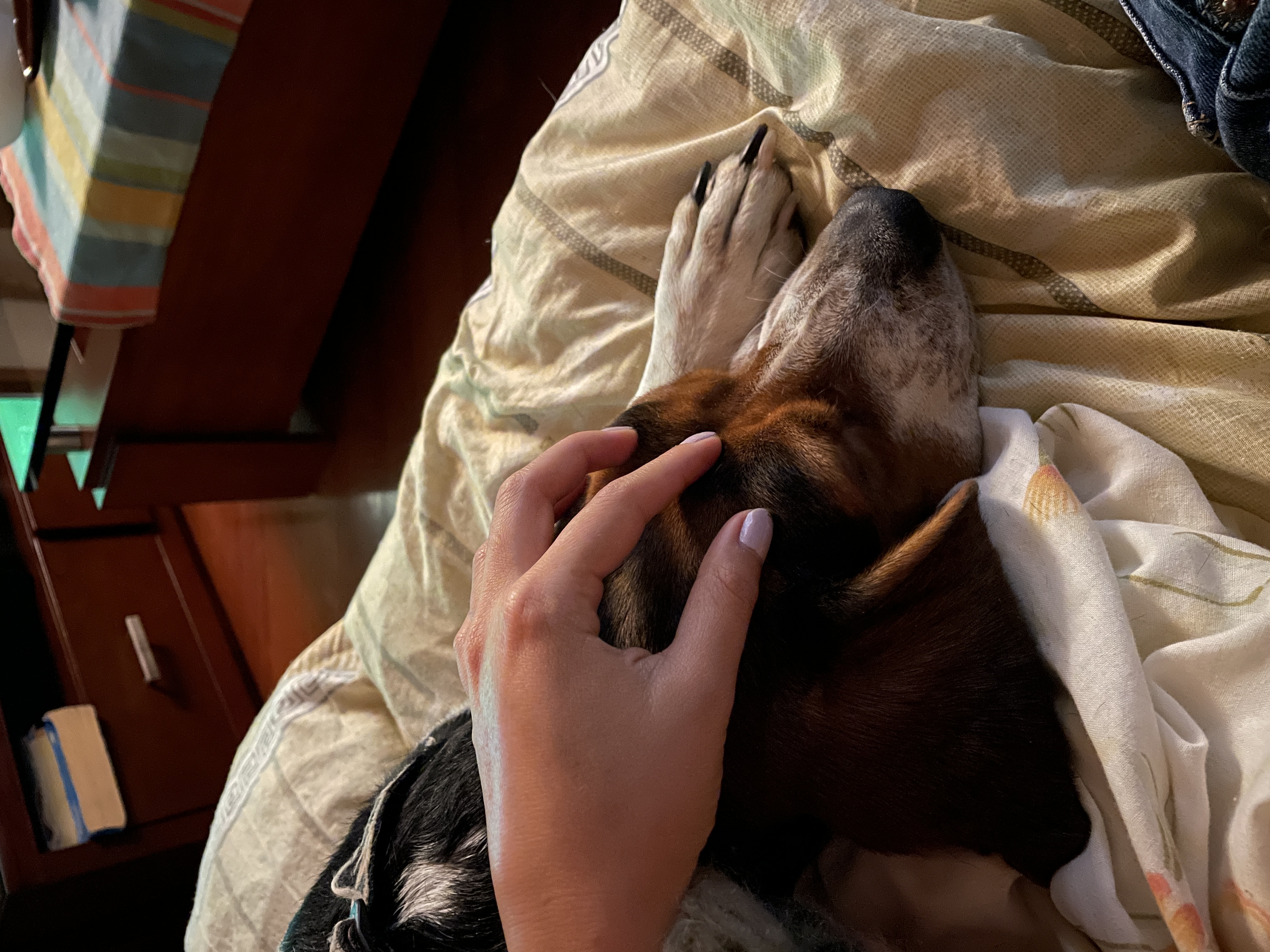 image-11