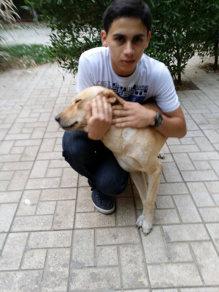 image-5