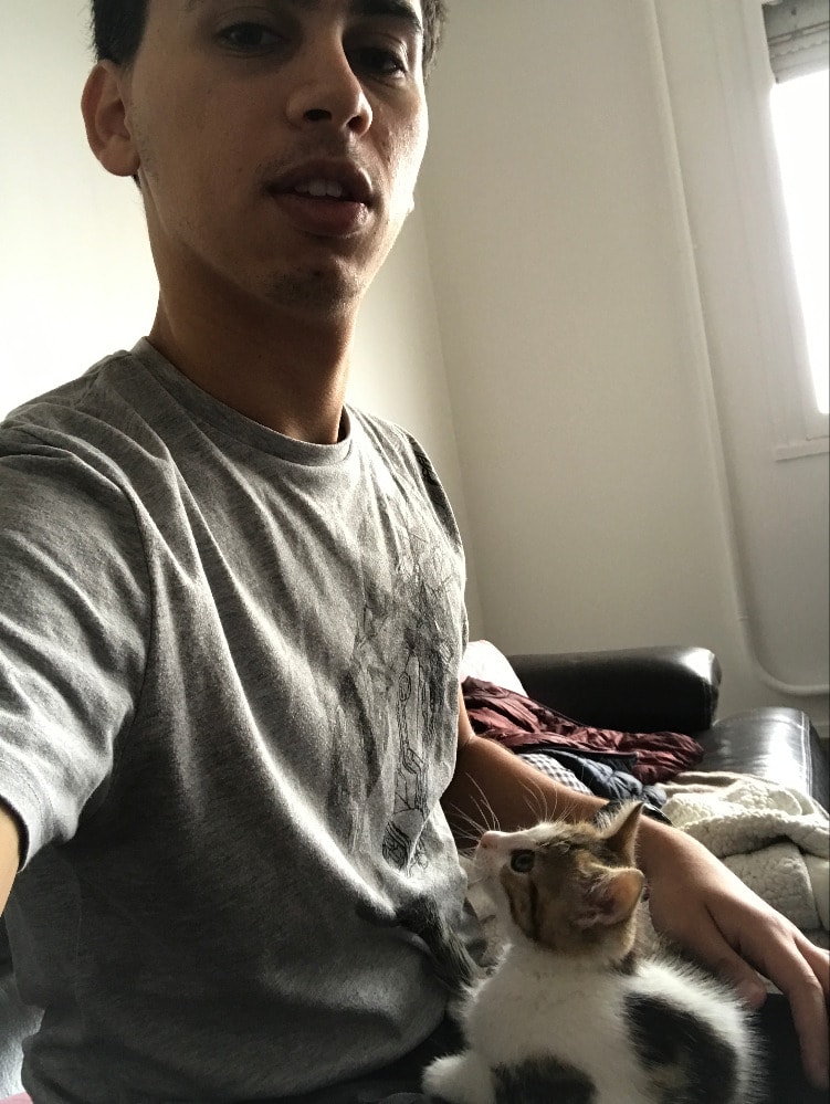 image-3