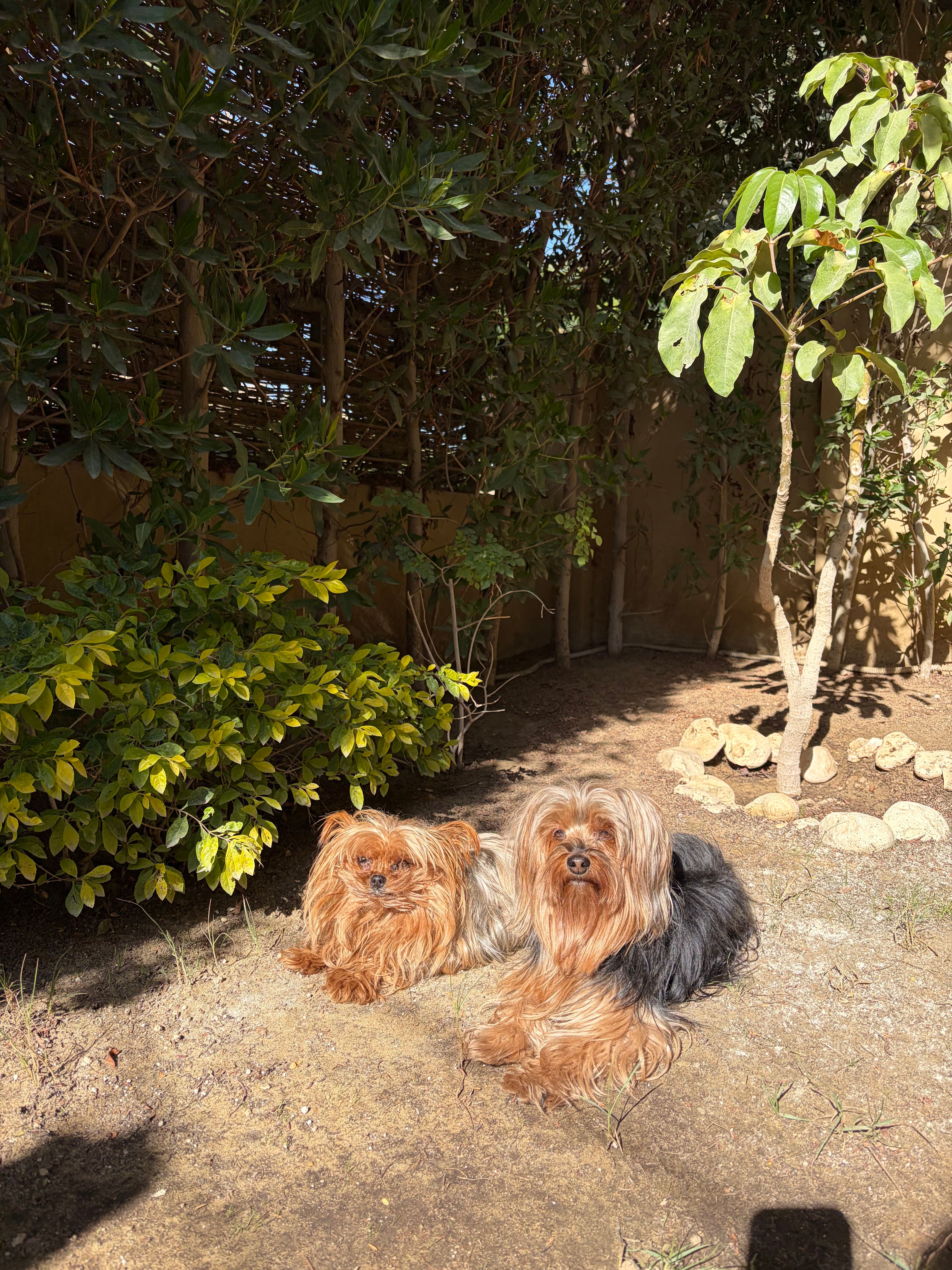 image-9
