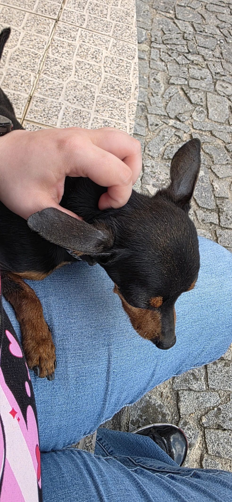 image-8