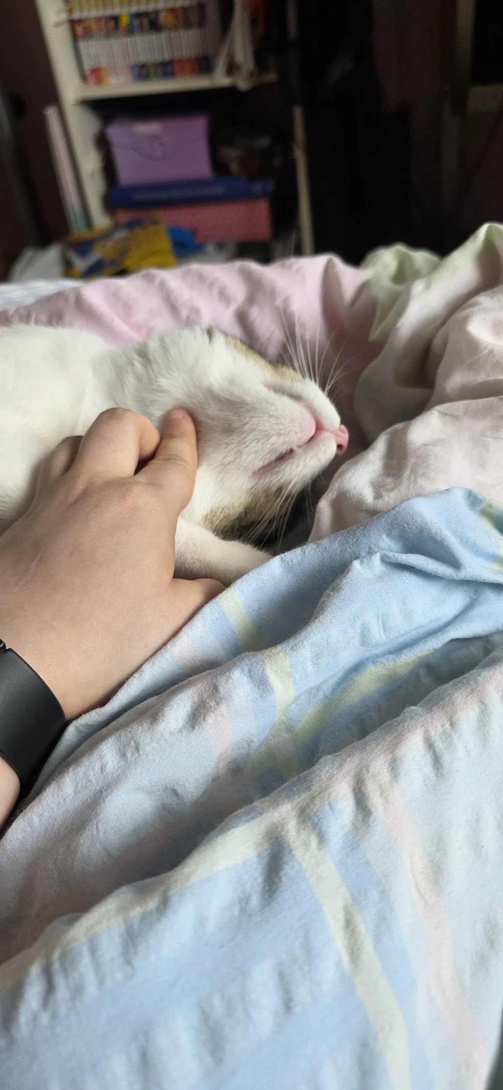 image-4