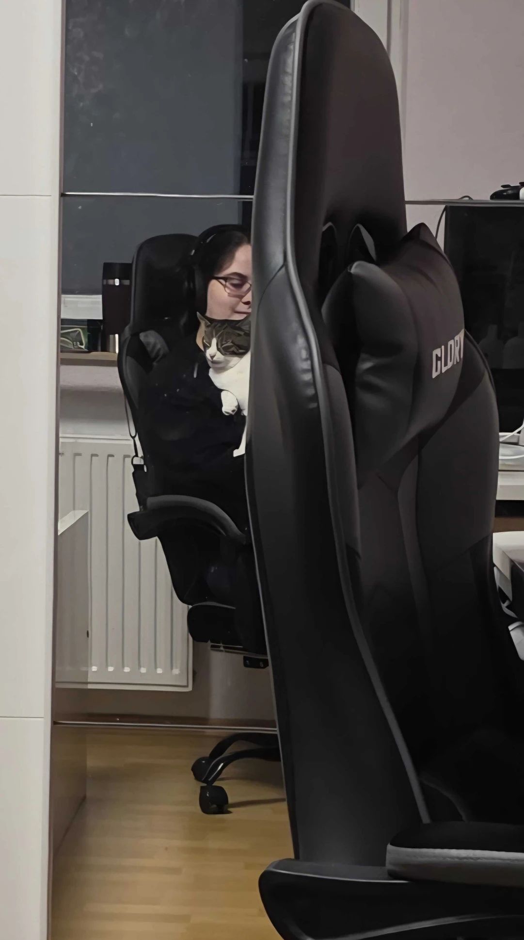 image-7