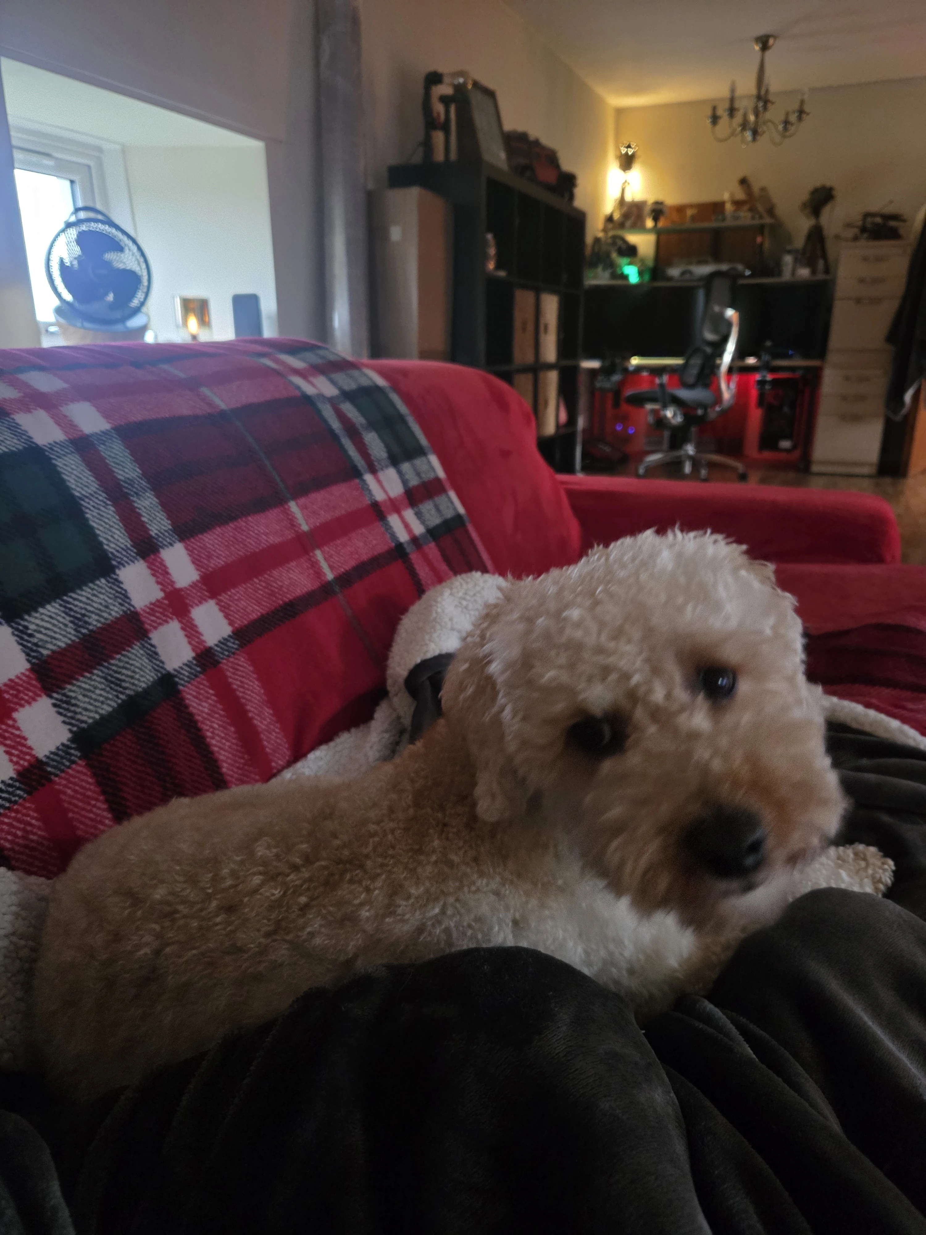 image-27