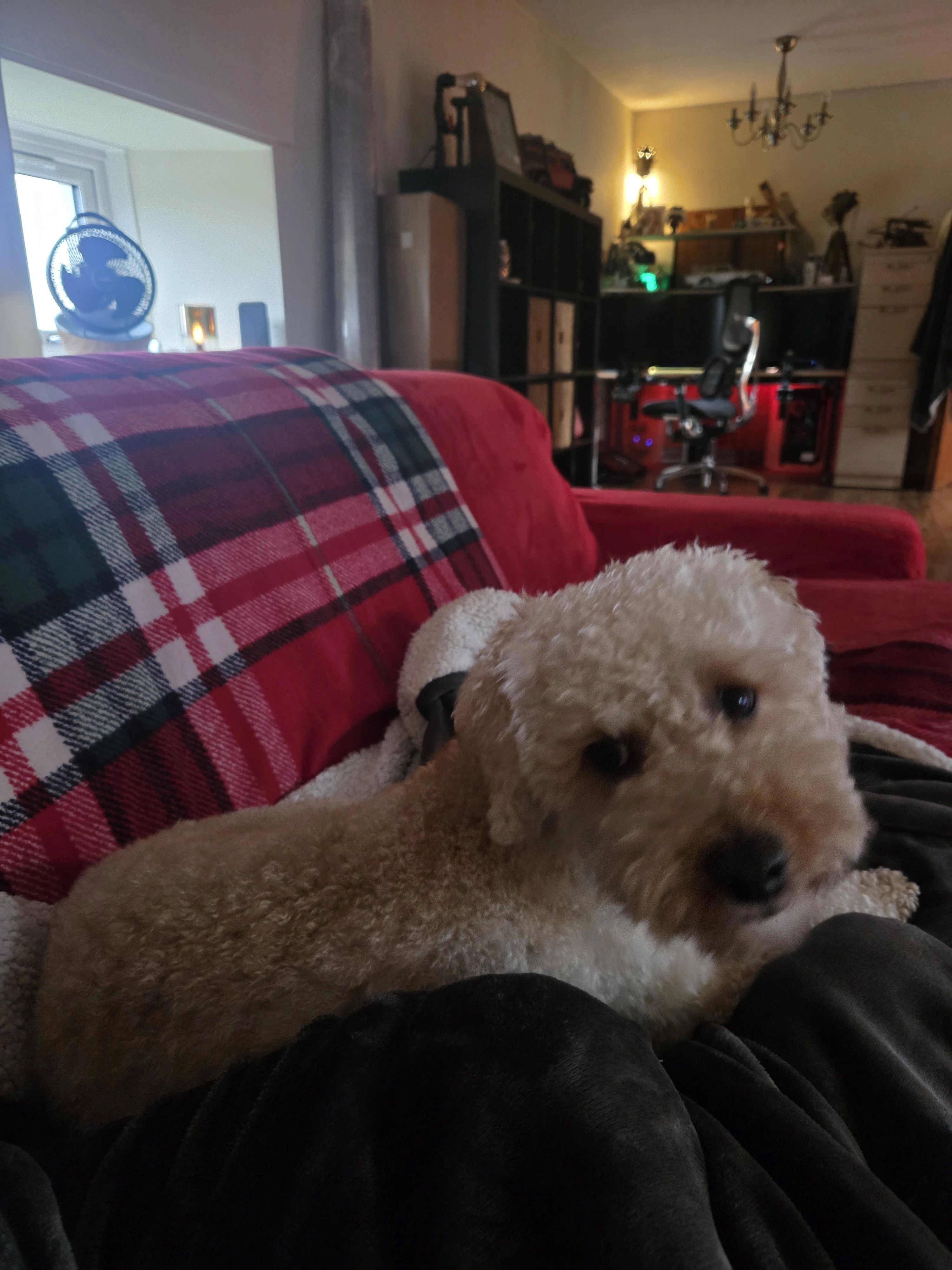 image-27