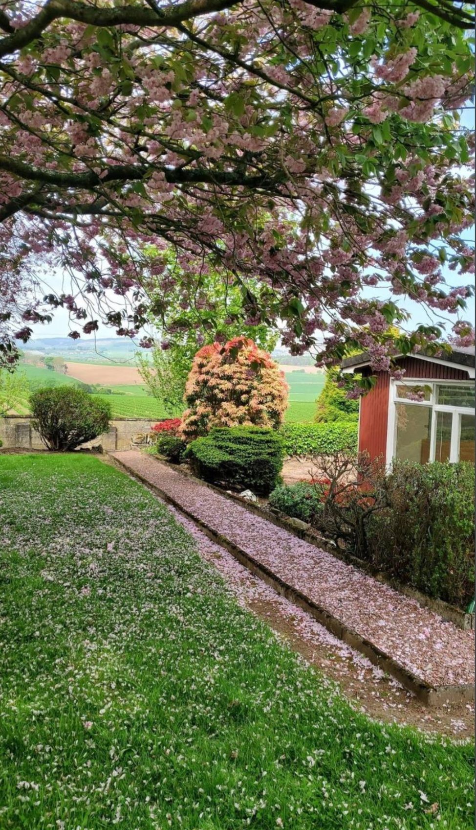 image-24