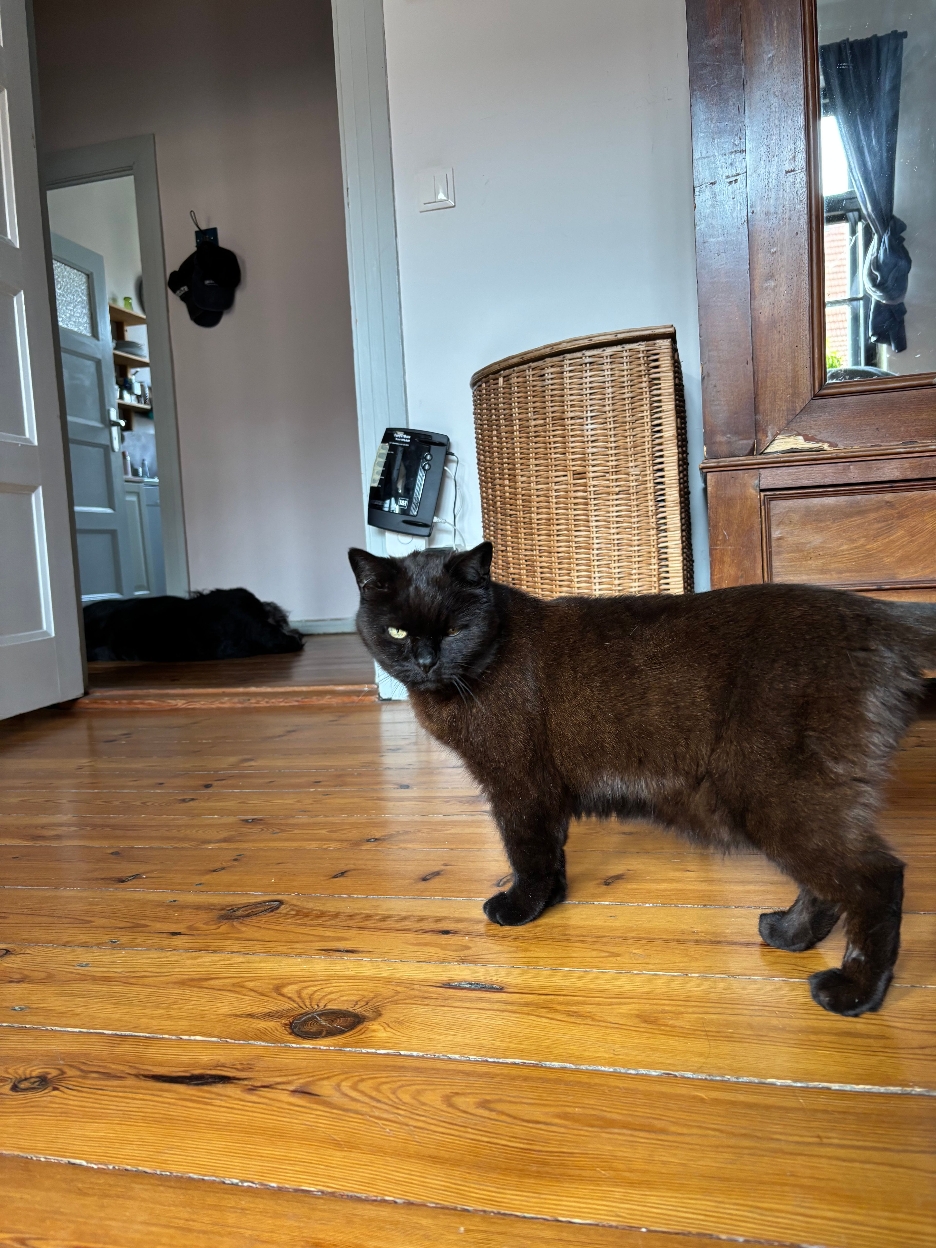 image-17