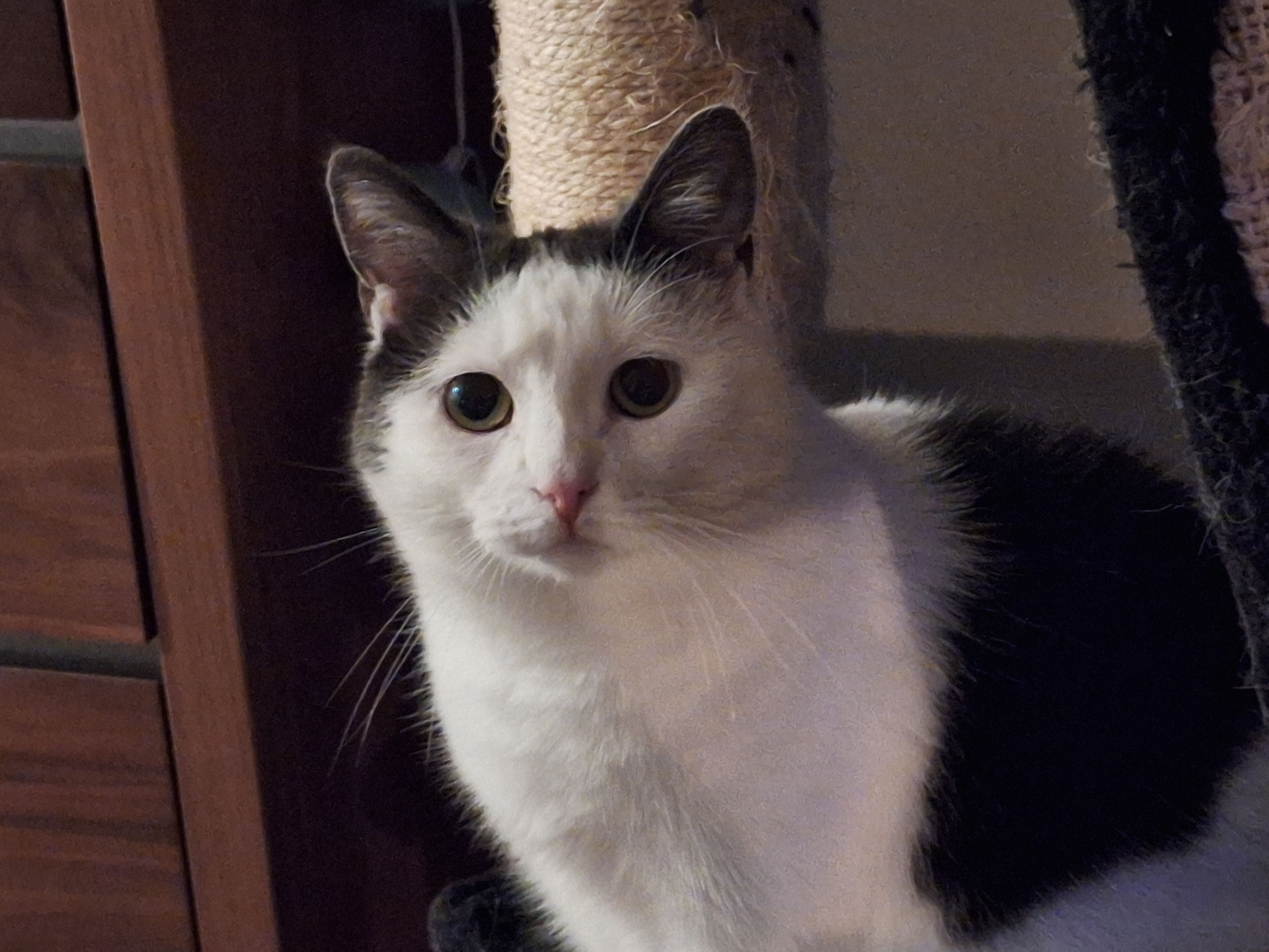 image-6