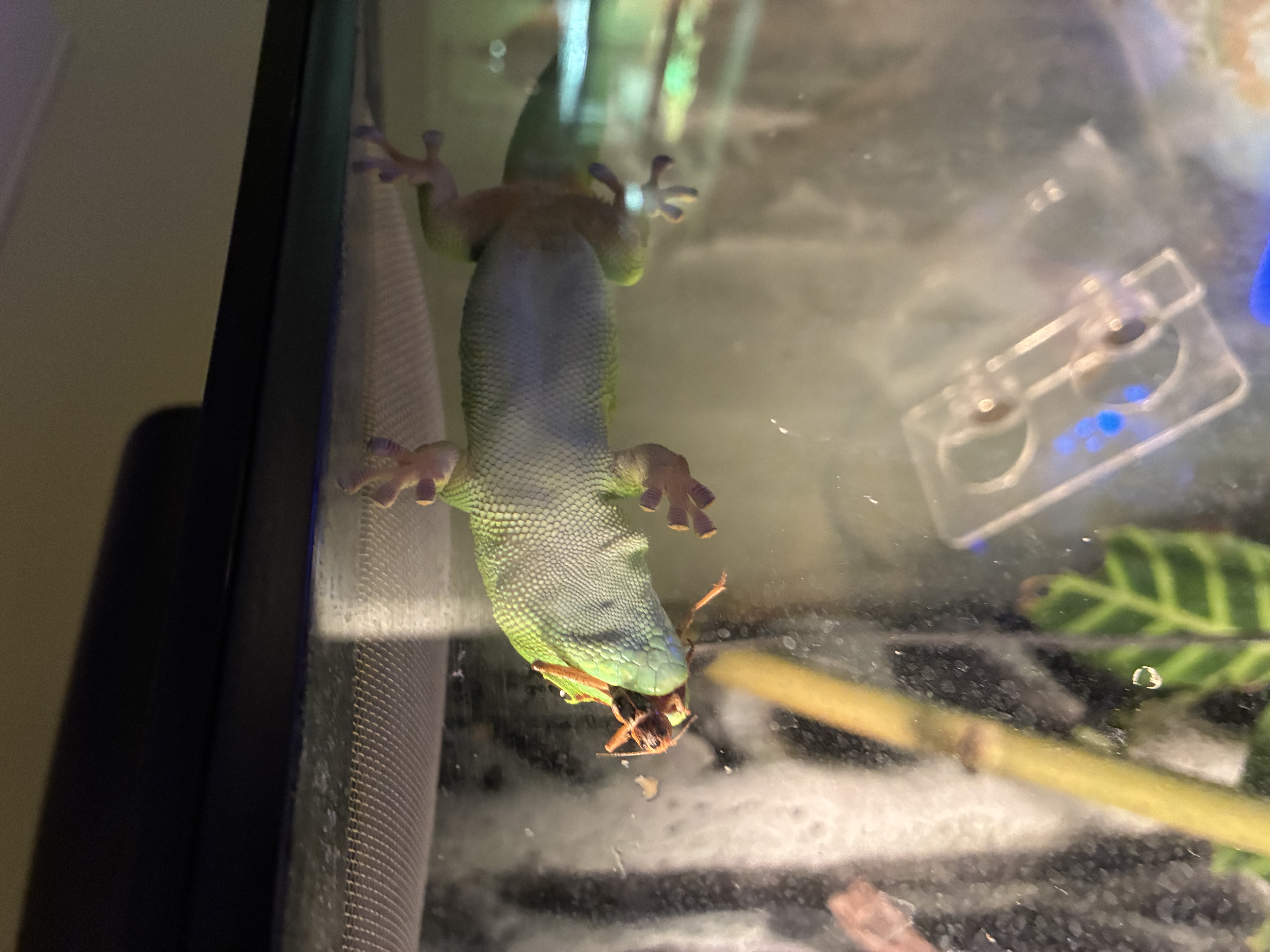 image-8