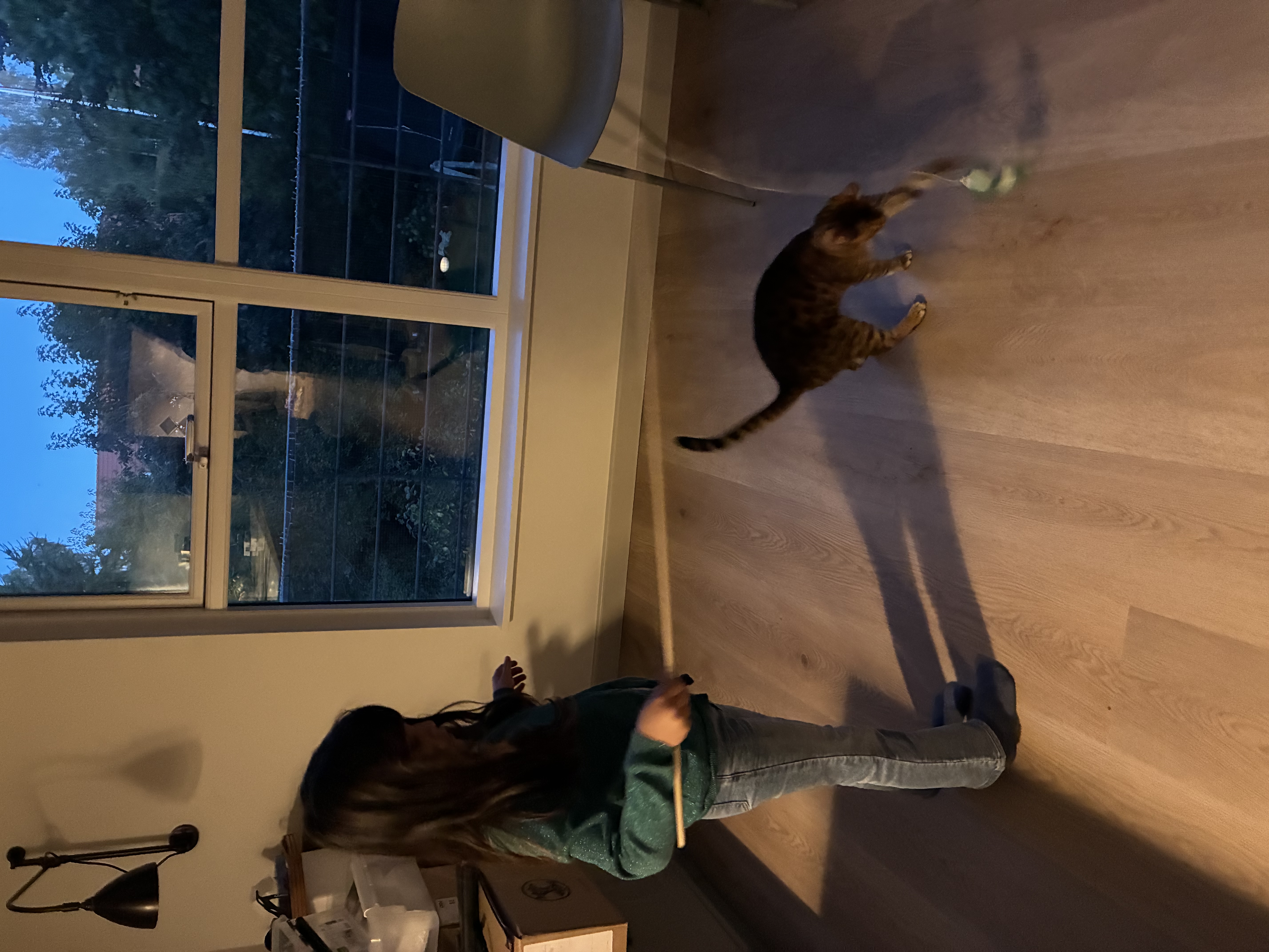 image-9