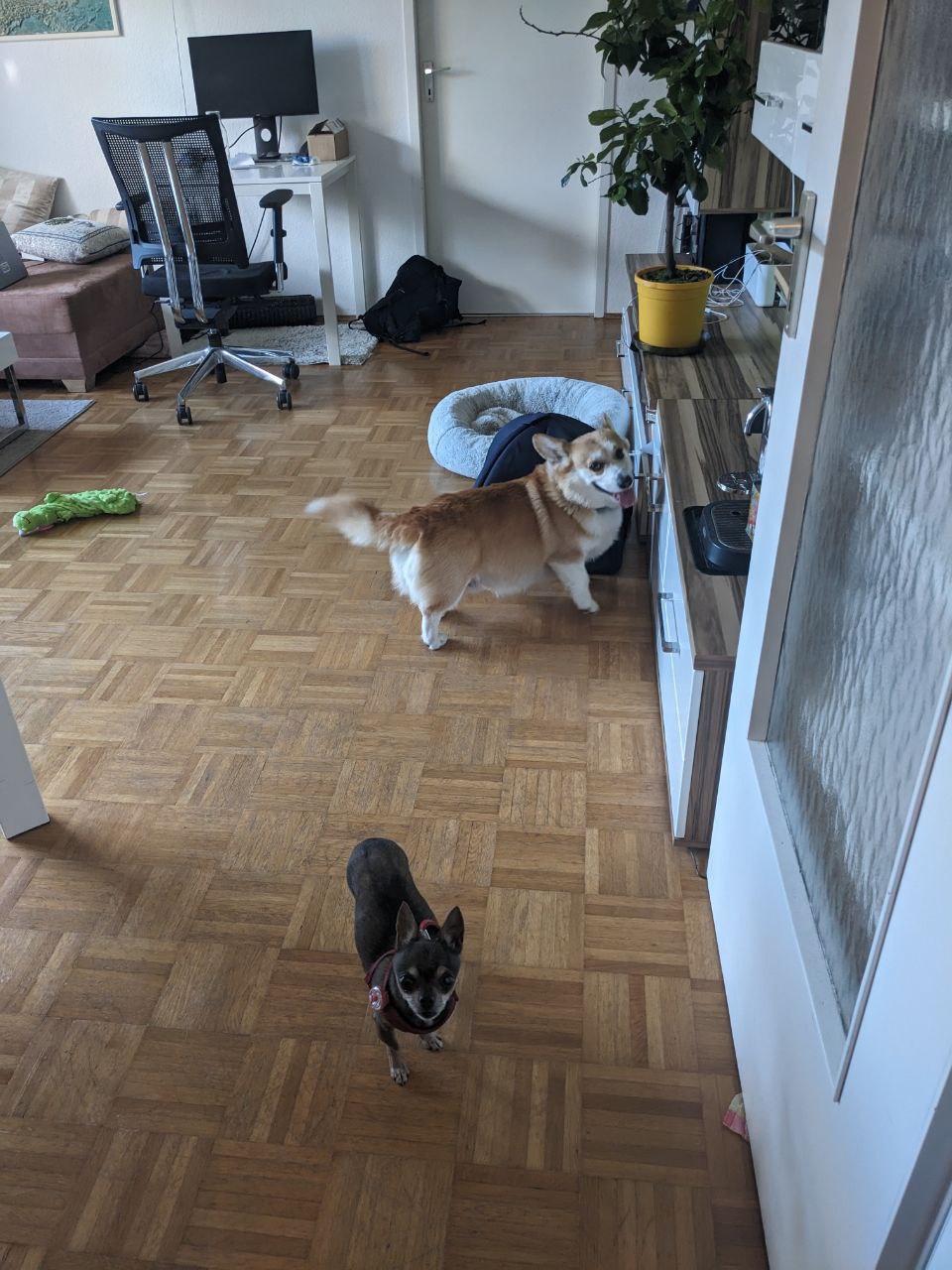 image-18