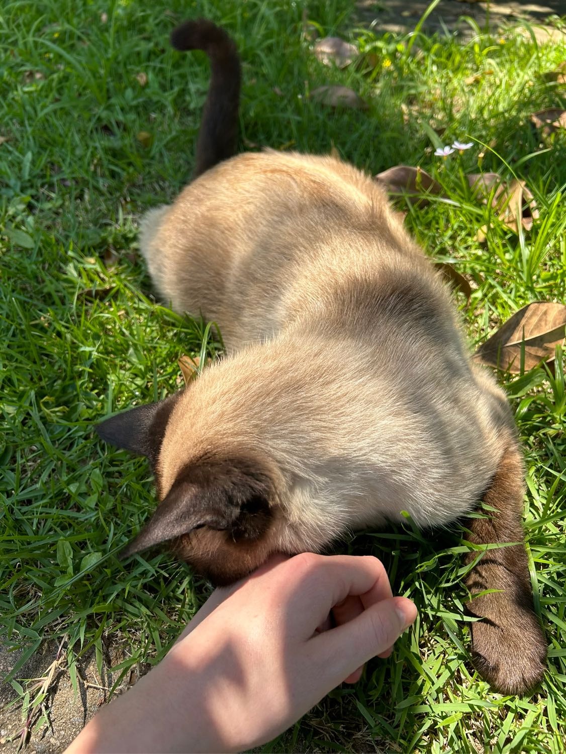 image-5
