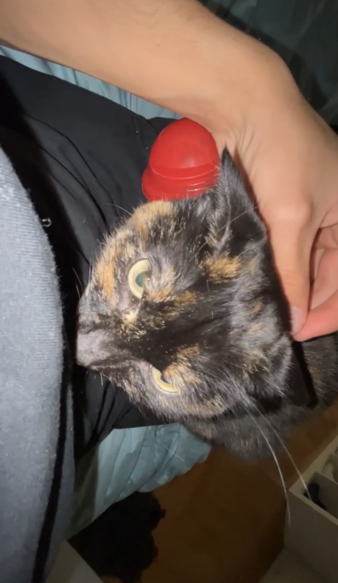 image-6