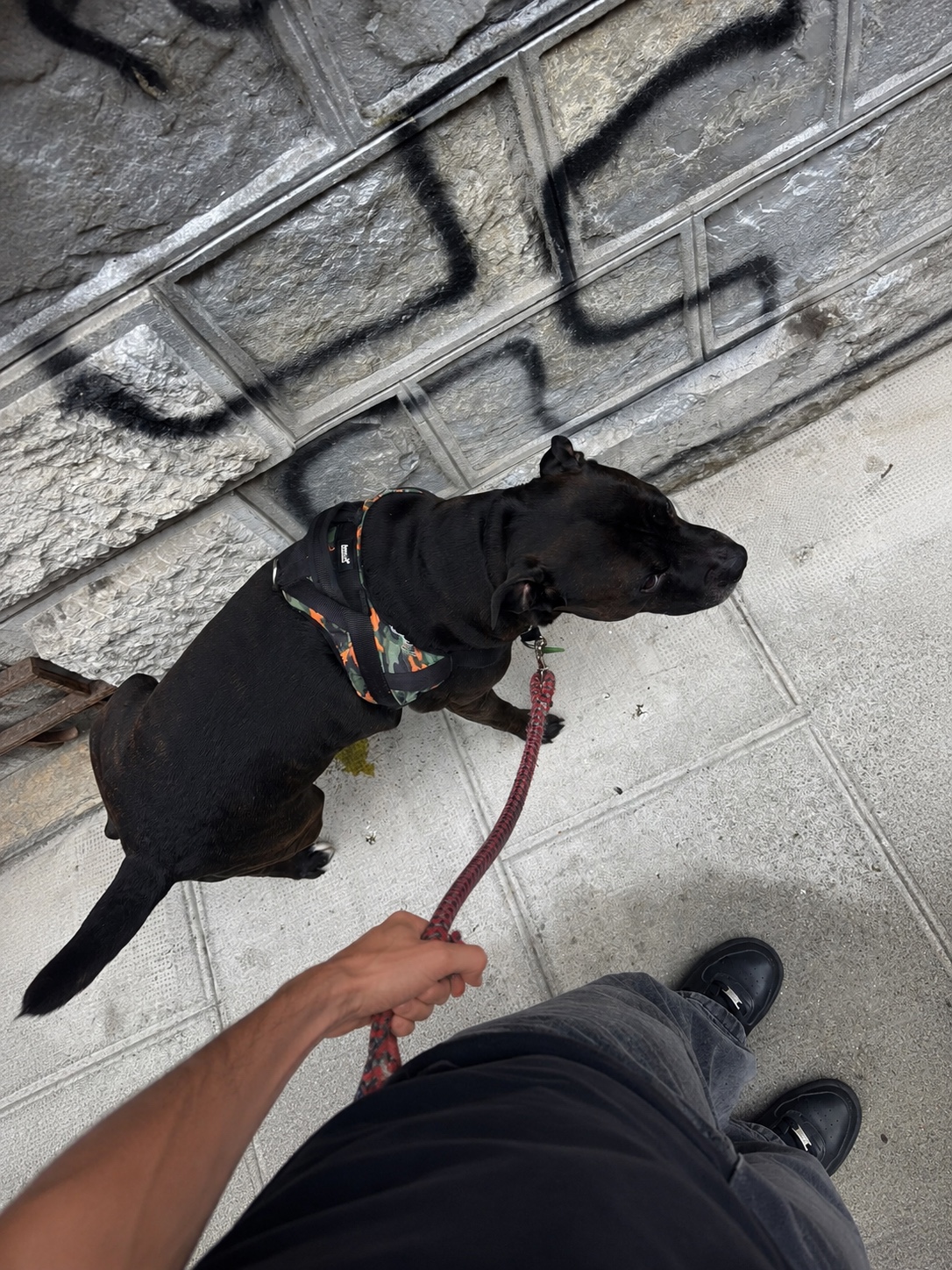 image-10