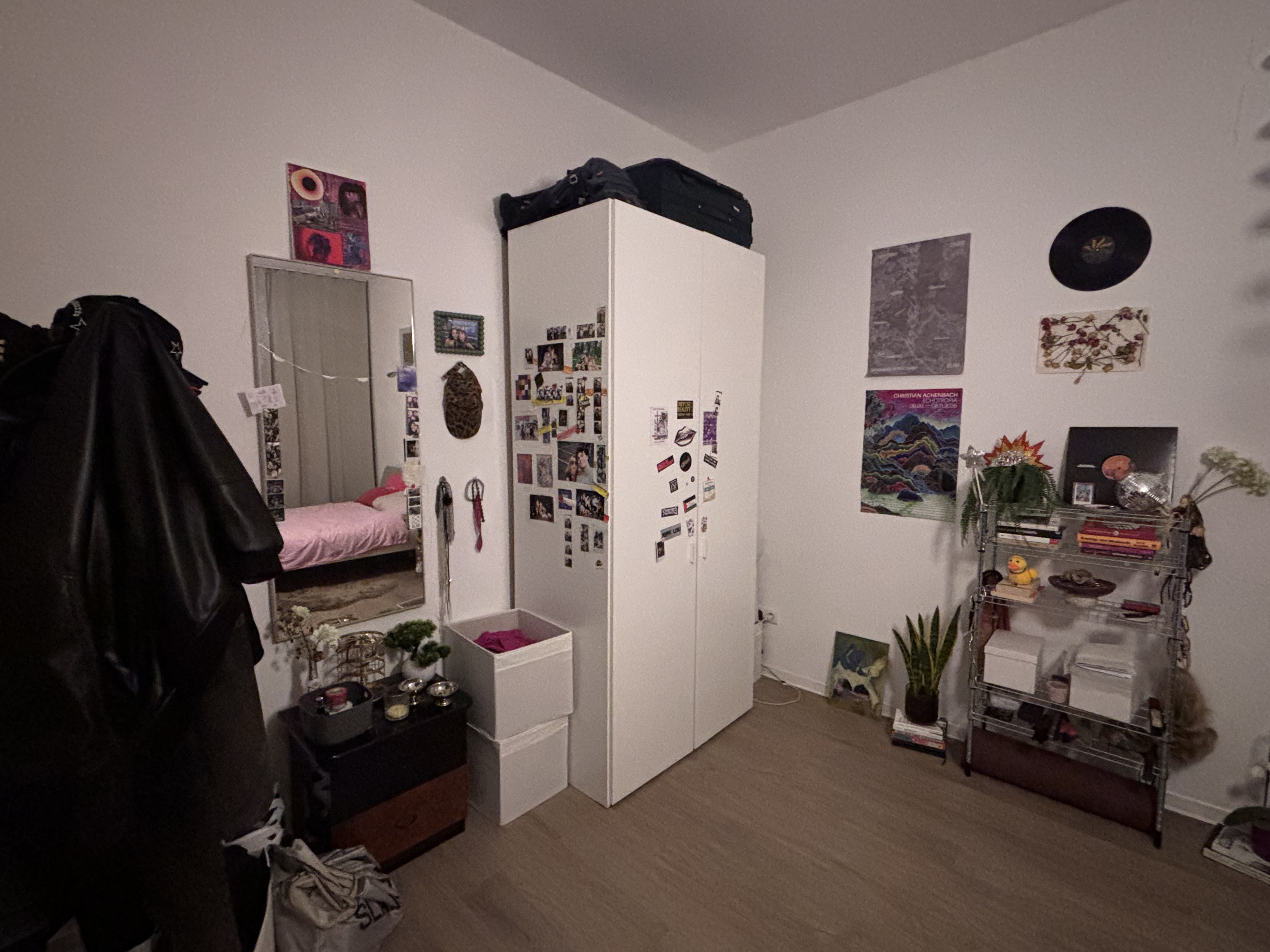 image-11