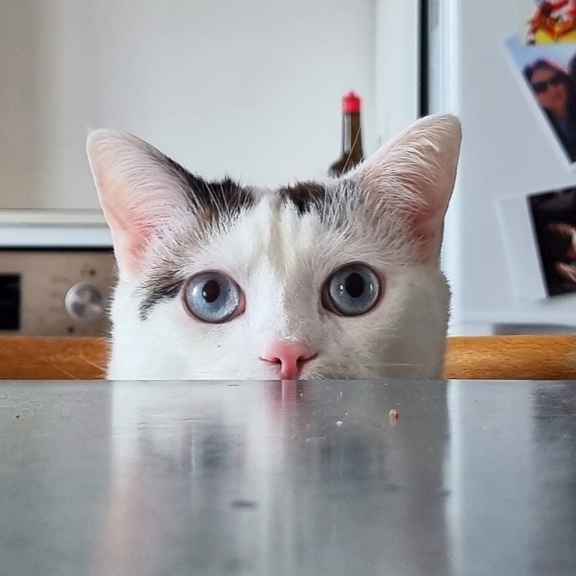Luno