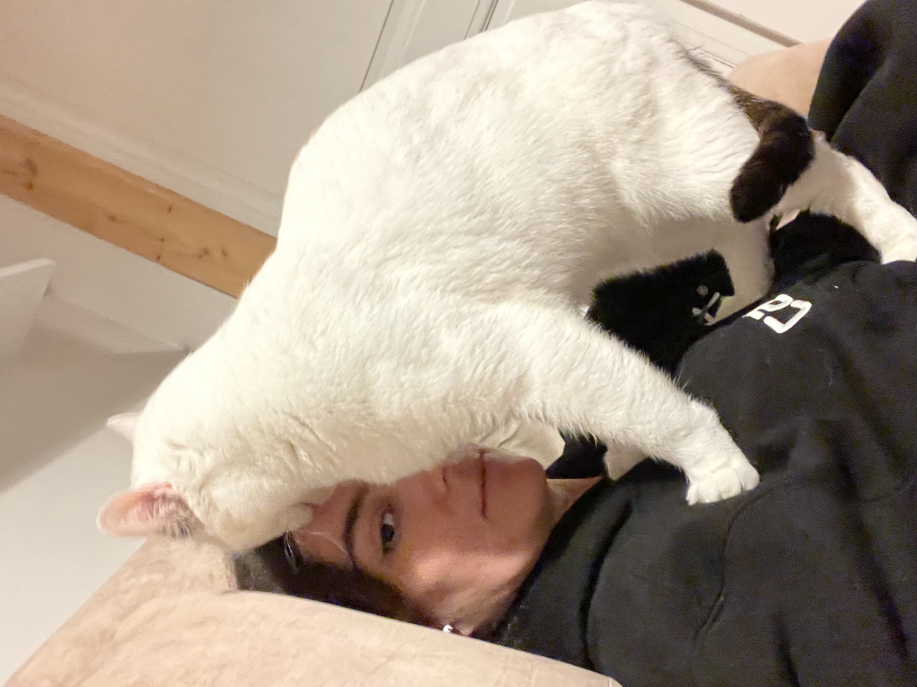 image-8