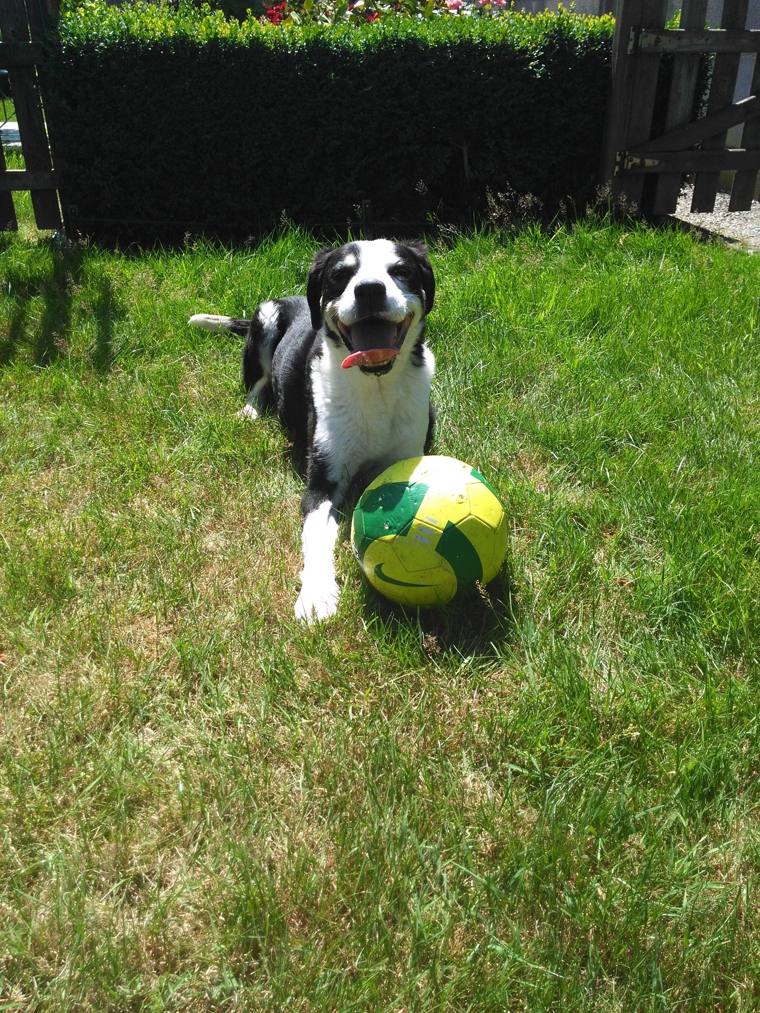 image-7