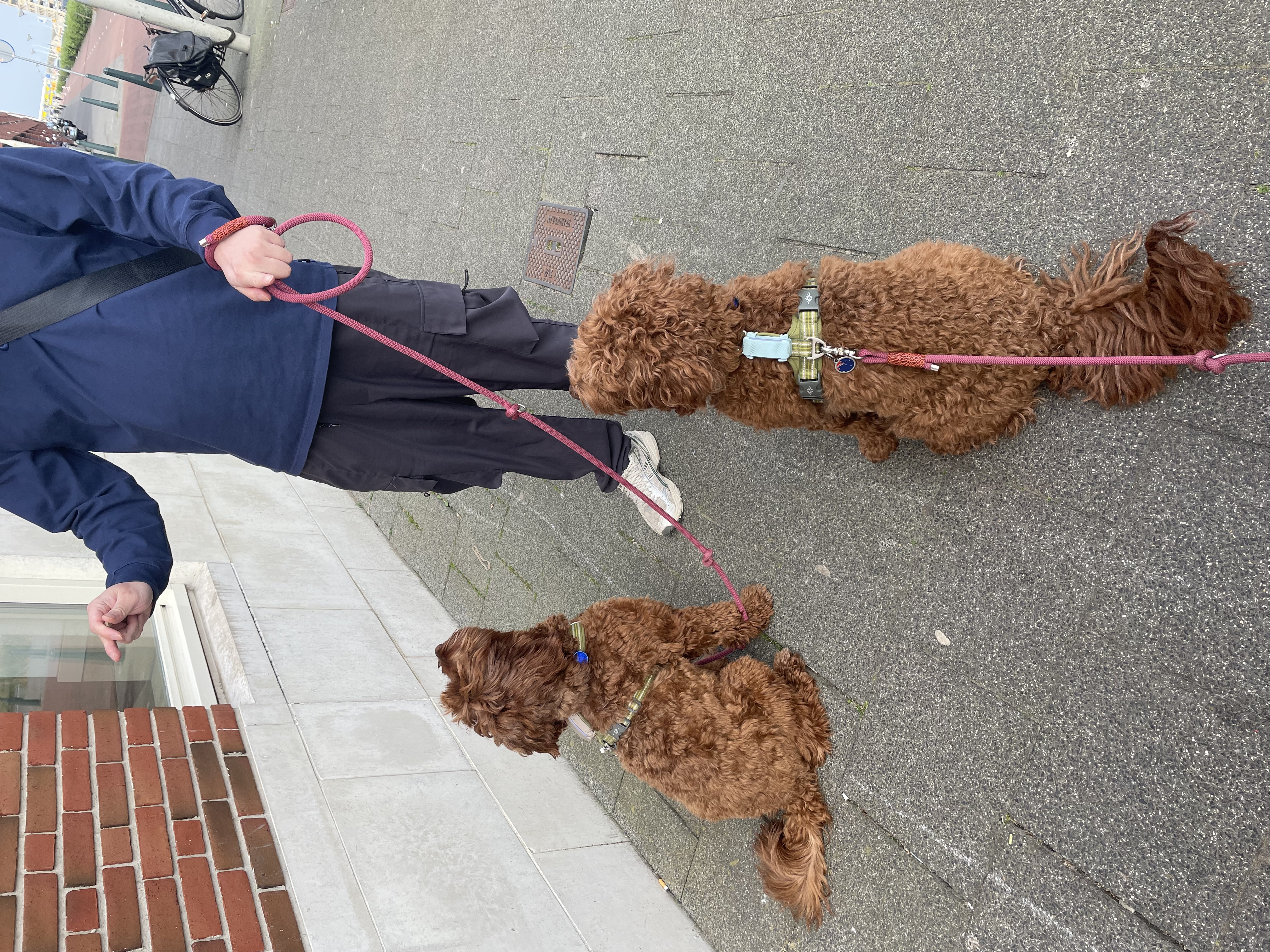 image-18