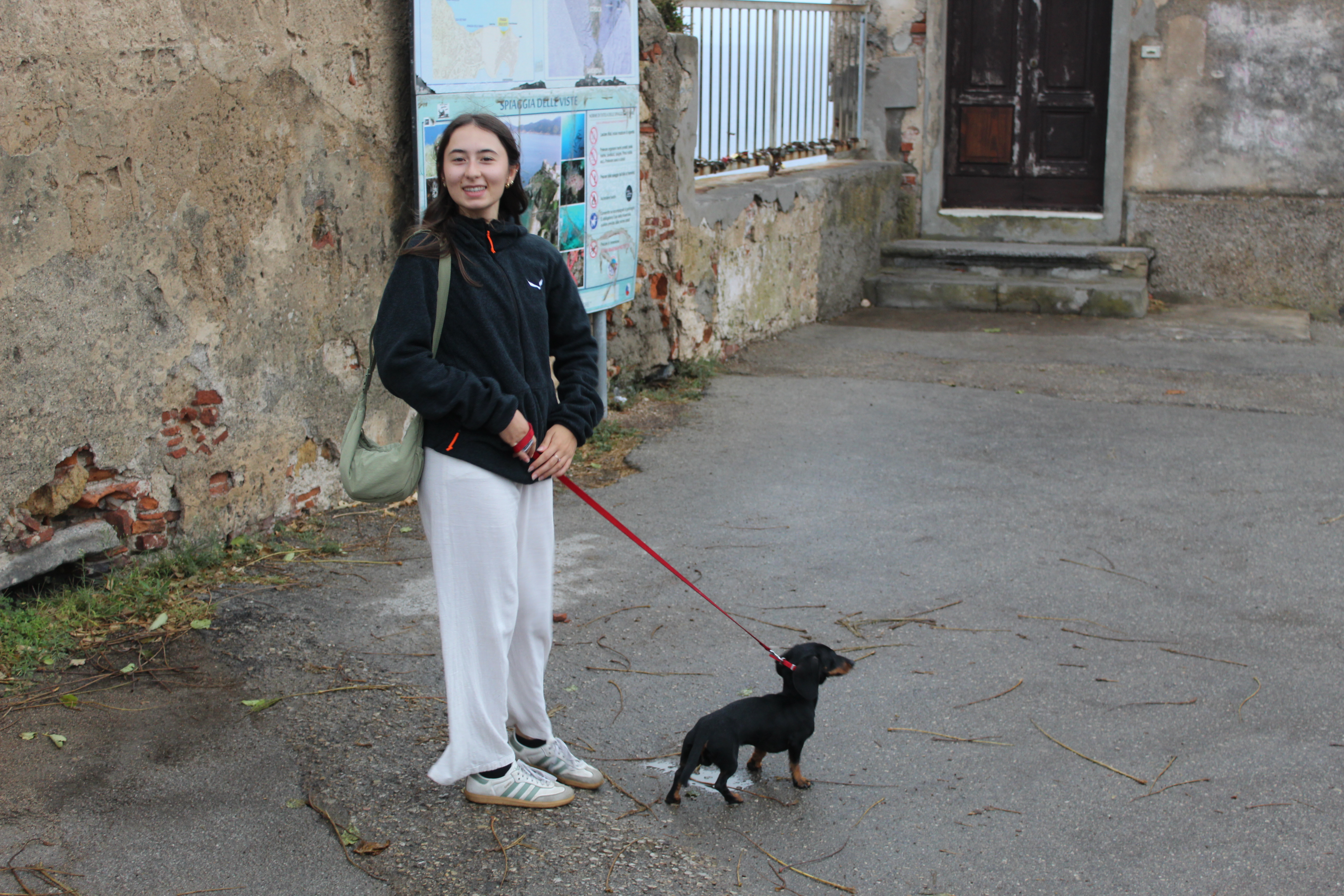 image-10