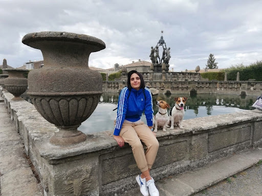 image-3