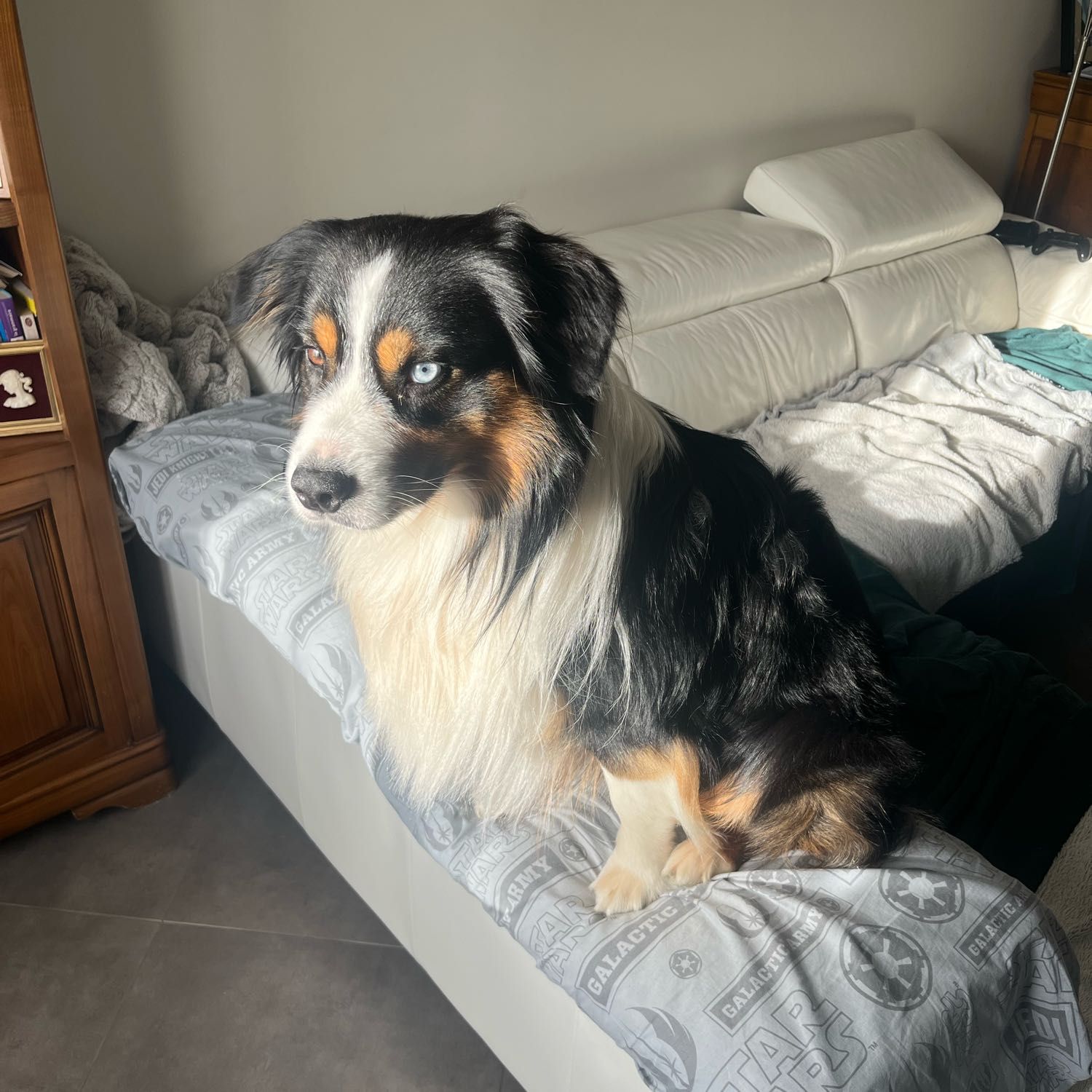 Sky