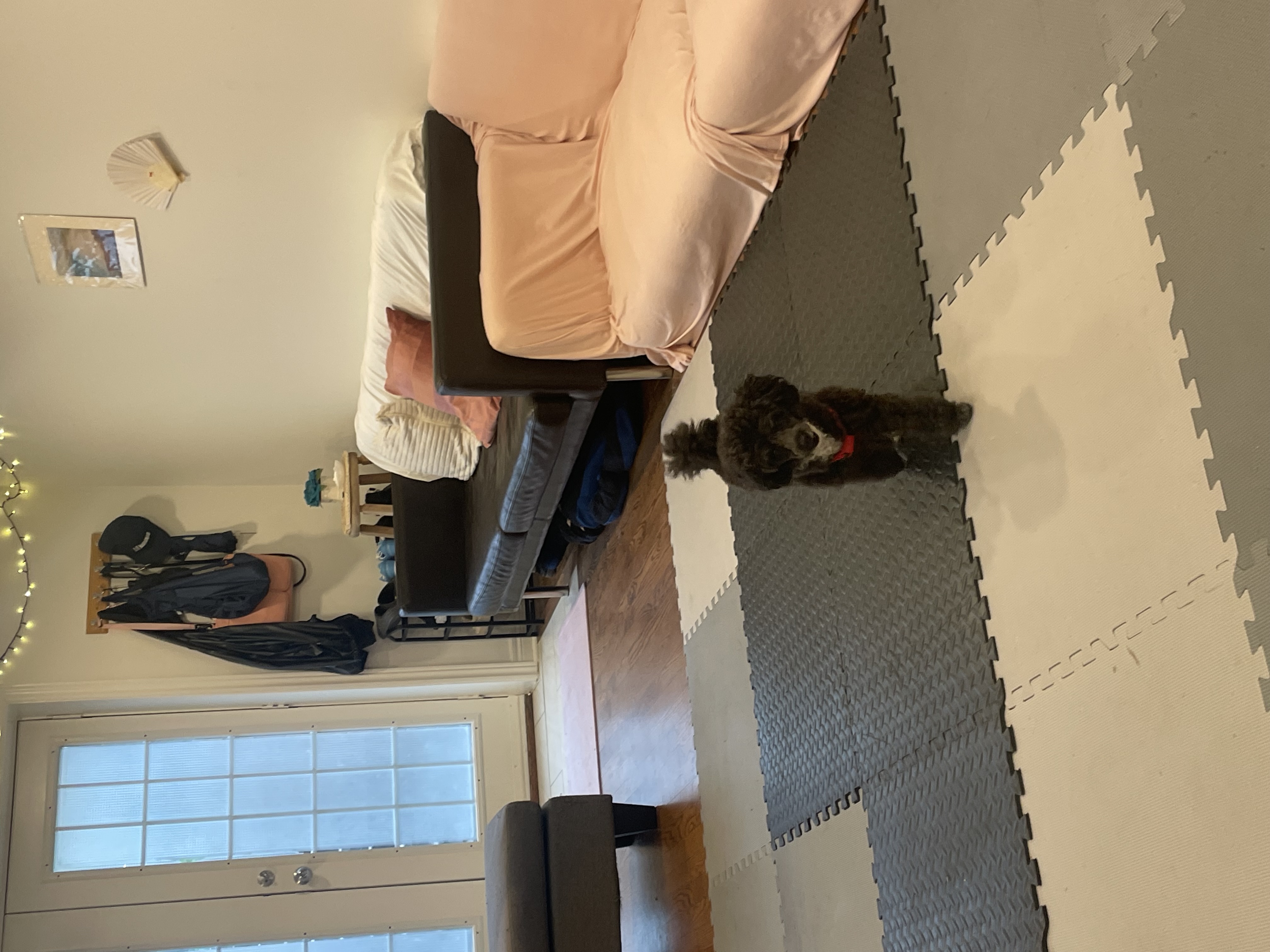 image-19