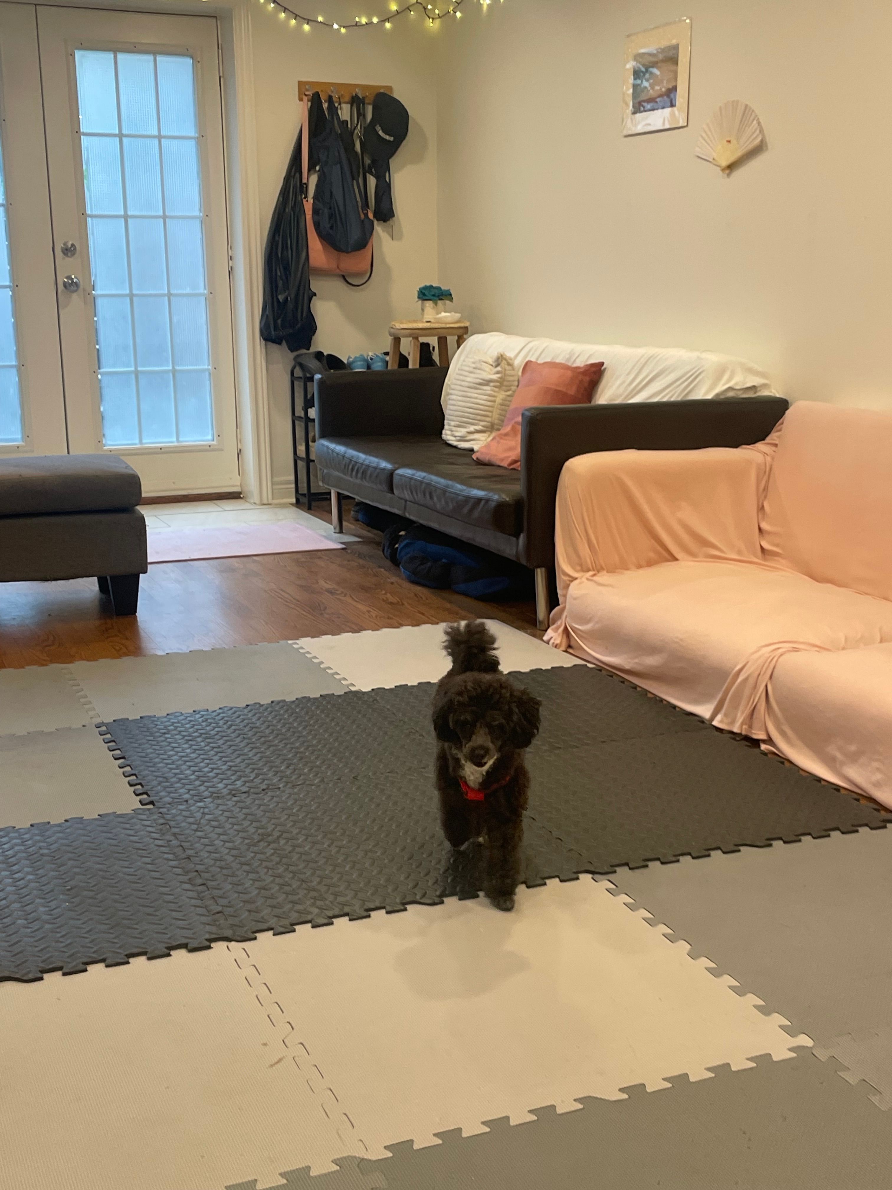 image-19